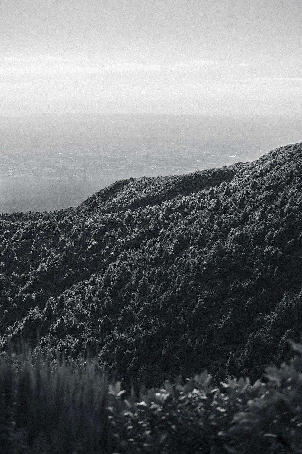 a black and white photo of a mountain