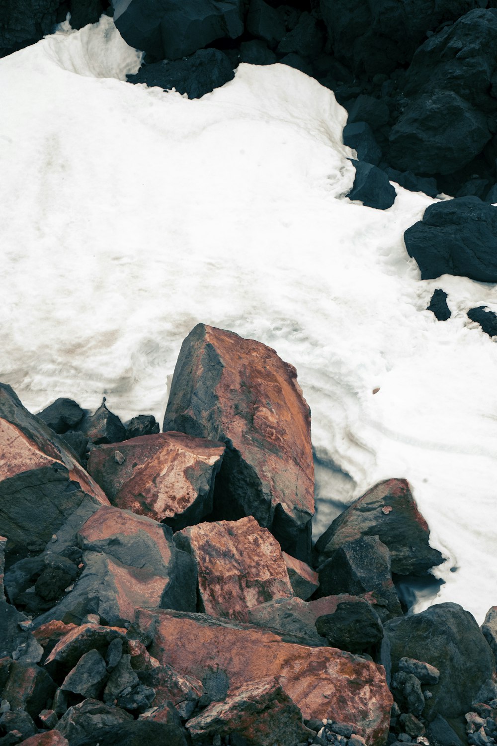 a bird is sitting on some rocks in the snow