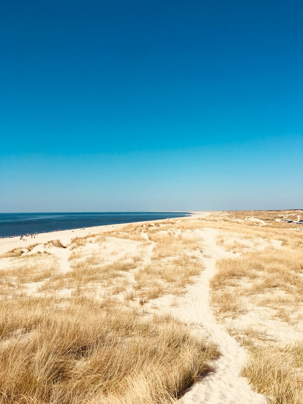 a sandy path leading to the ocean on a sunny day