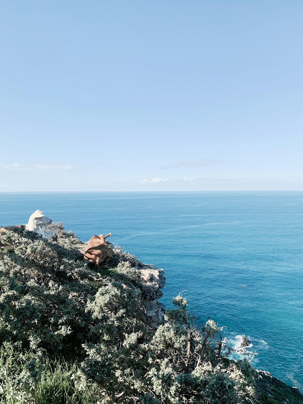 a bench sitting on top of a cliff next to the ocean