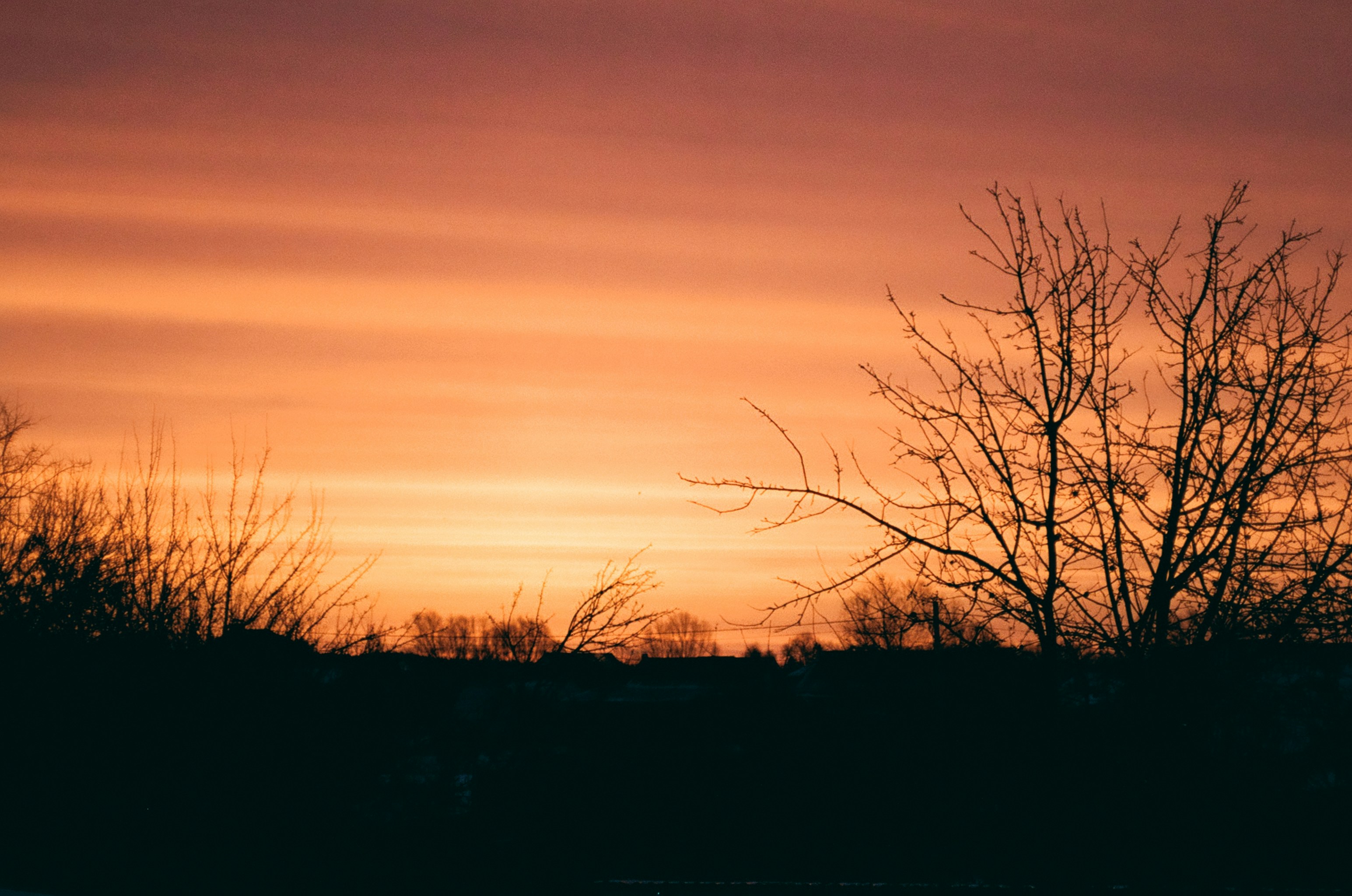 Photo by stepanseverinoff