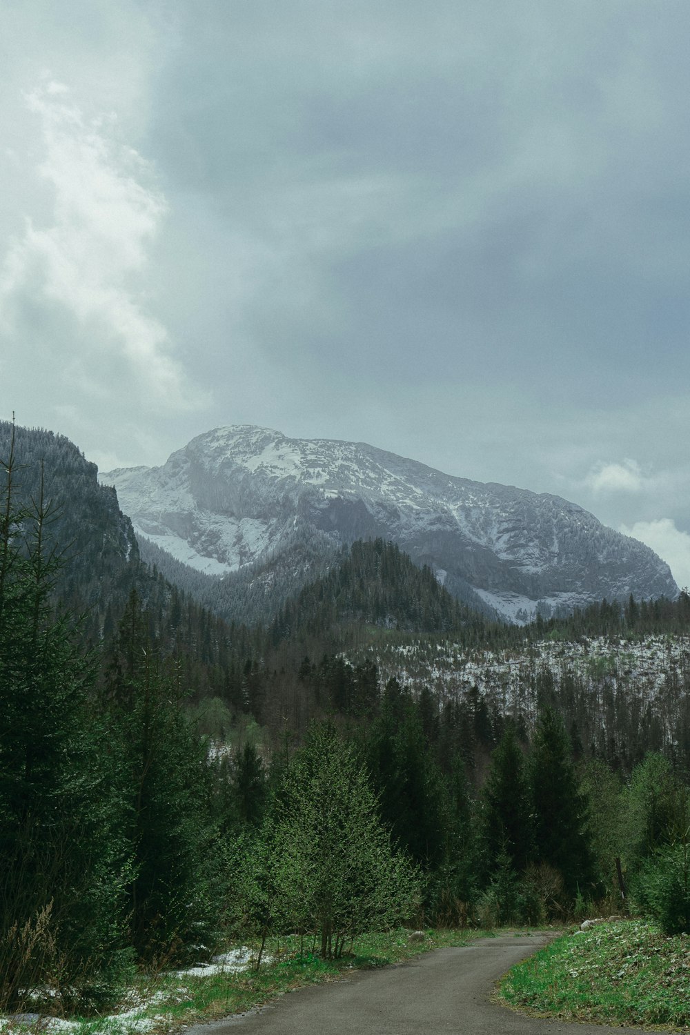 a road in the middle of a forest with a mountain in the background