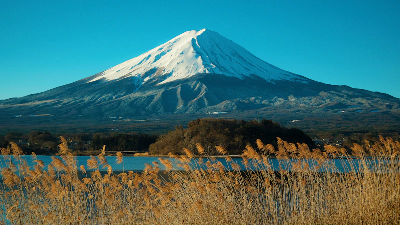 Japan's Best Hiking Trails: From Easy Walks to Epic Mountain Climbs