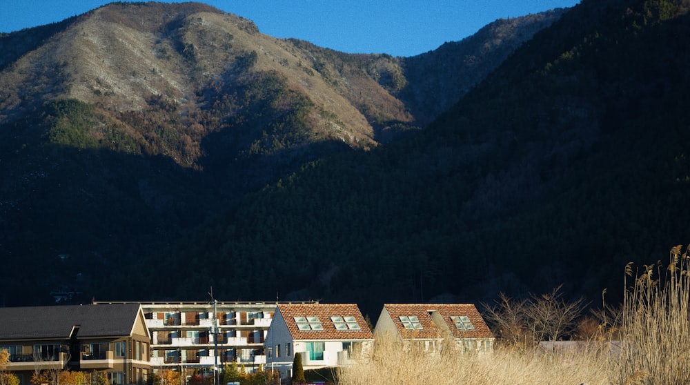 a row of houses in front of a mountain range