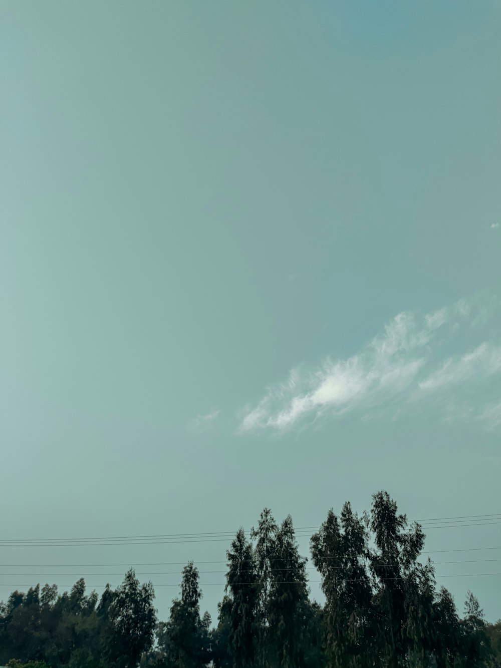 a plane flying in the sky over some trees