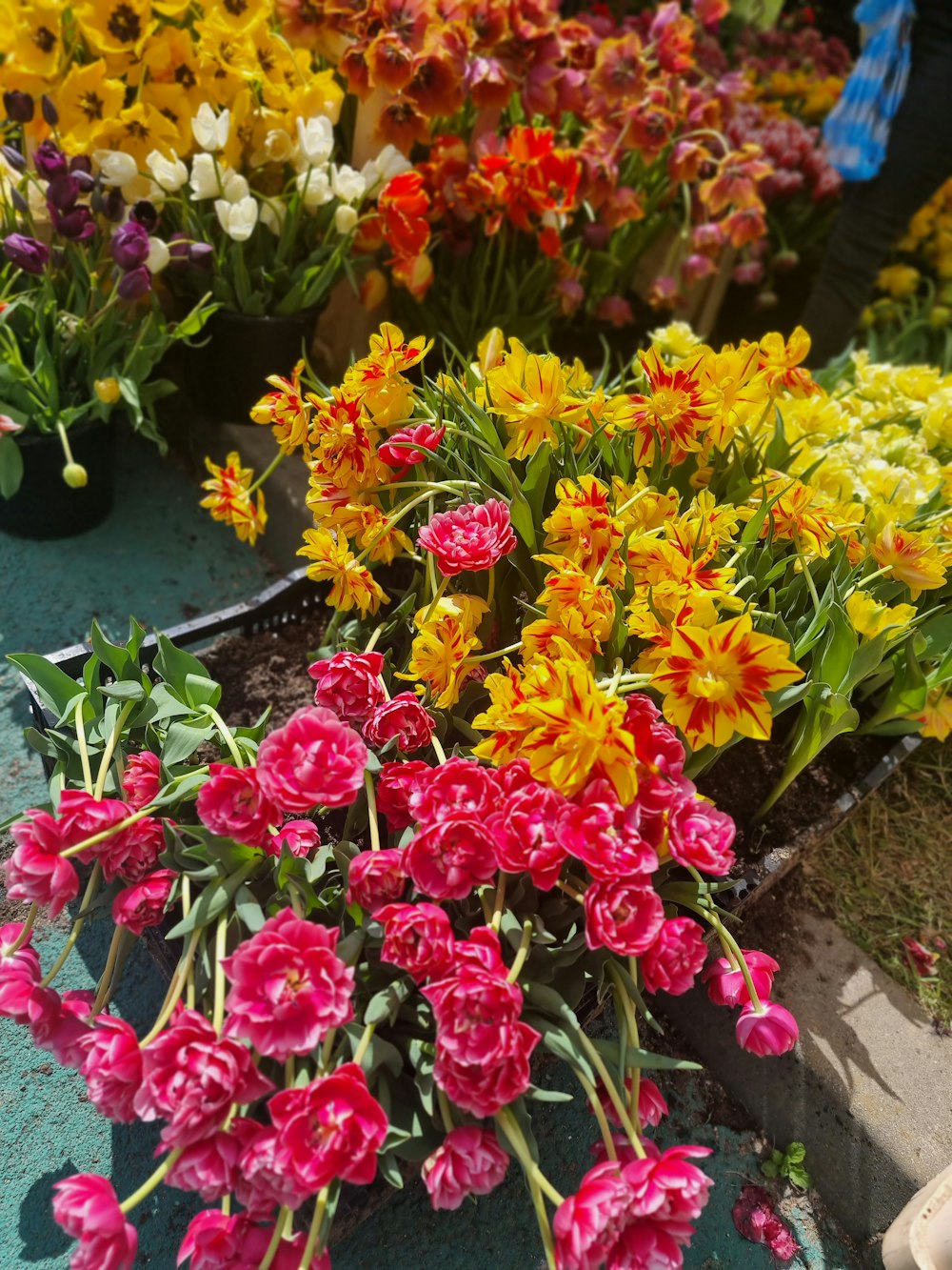 a bunch of flowers that are on a table