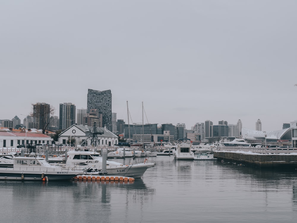 a harbor filled with lots of boats next to tall buildings