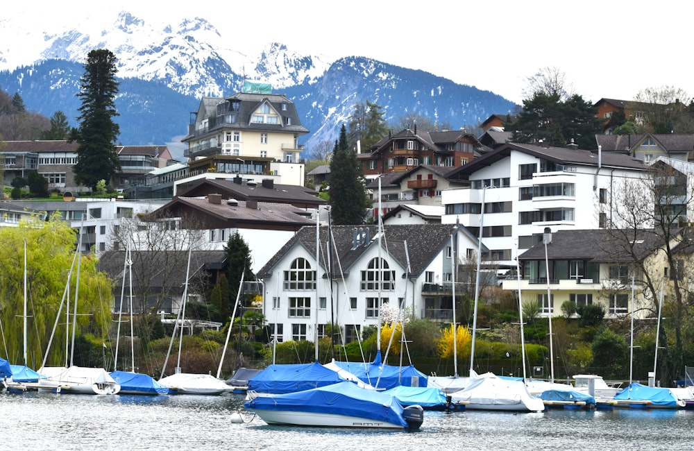 ein Haufen Boote, die im Wasser sitzen