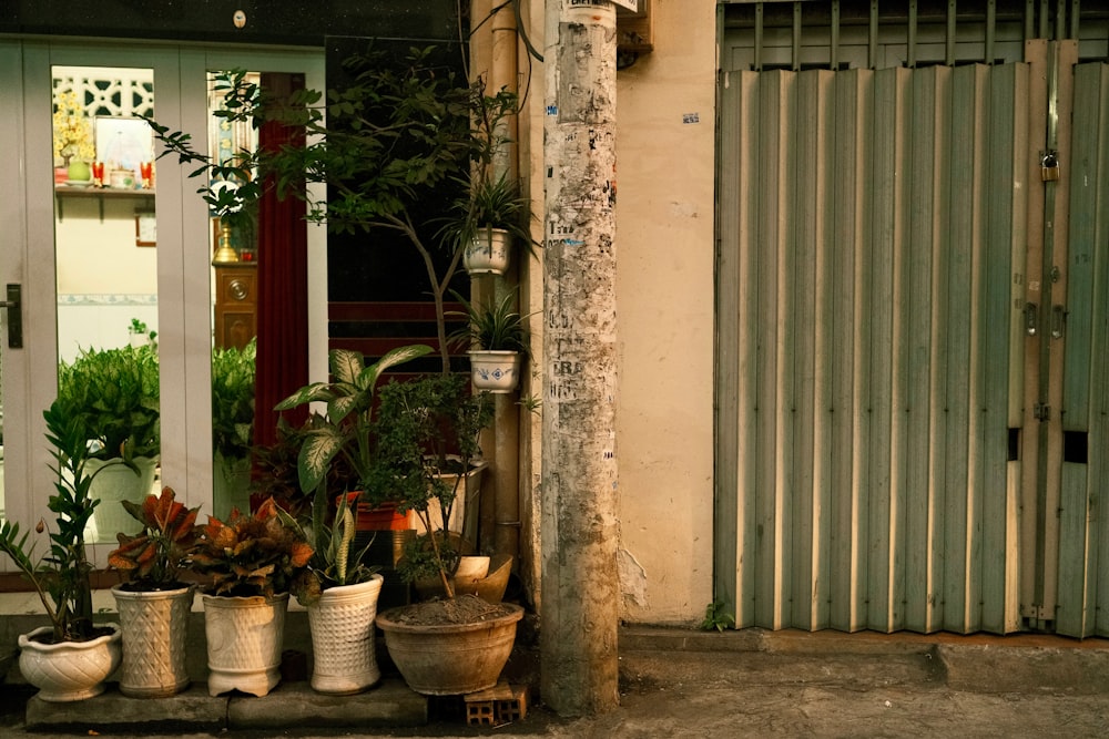 a bunch of potted plants sitting outside of a building