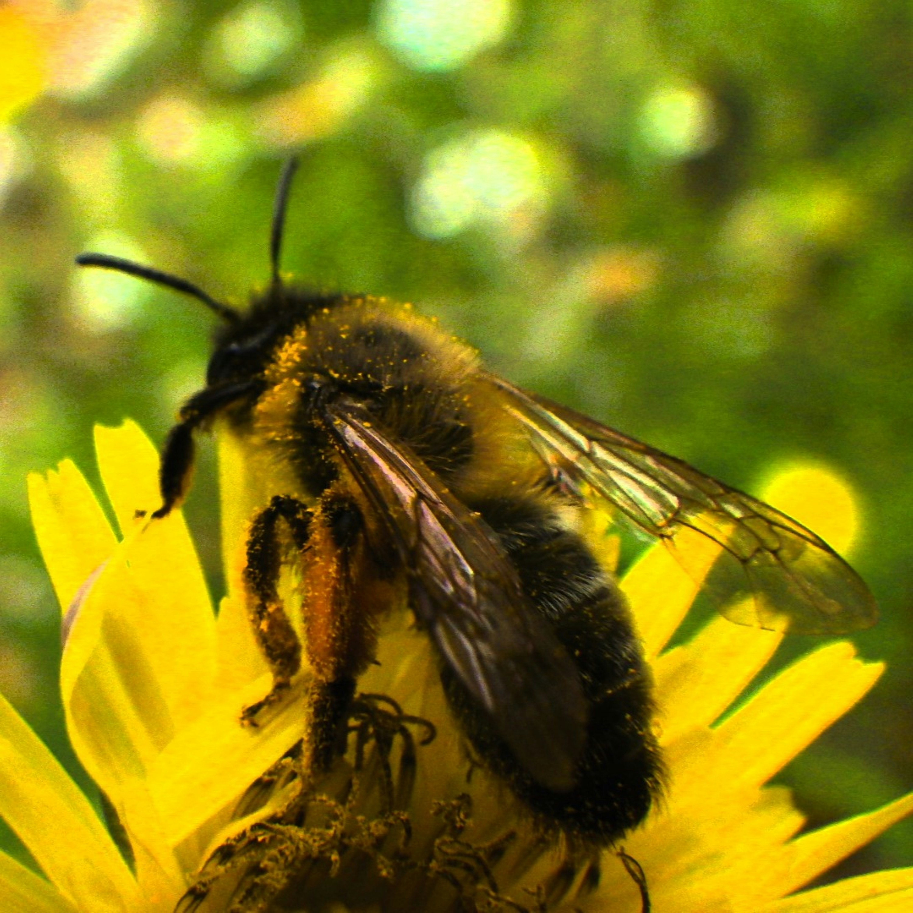 Photo by dominapetric