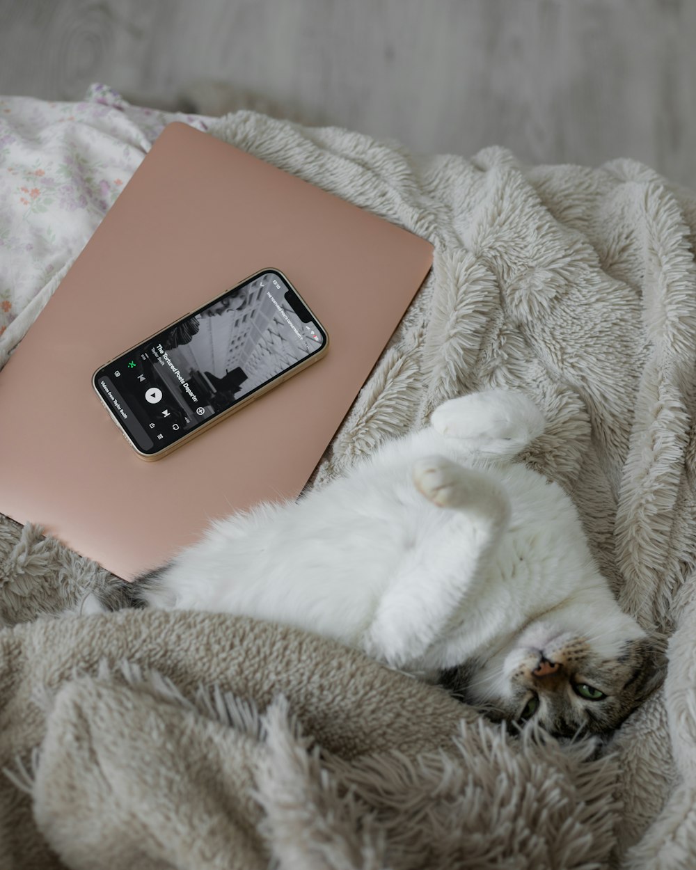 a white cat laying on top of a bed next to a book