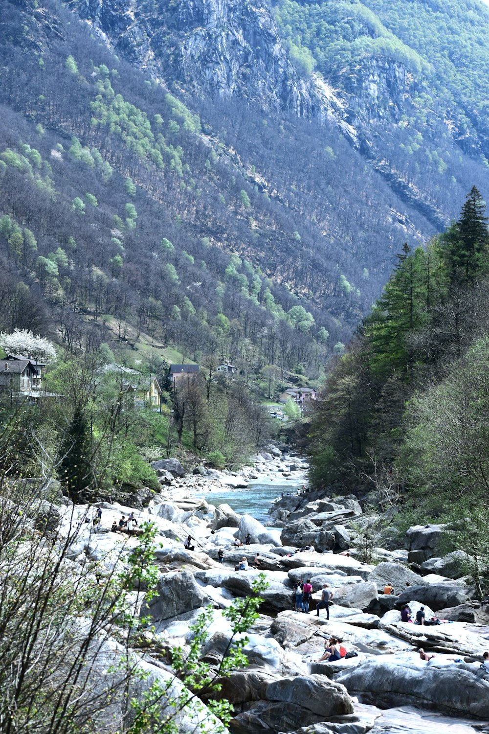 a group of people standing on top of a rocky river