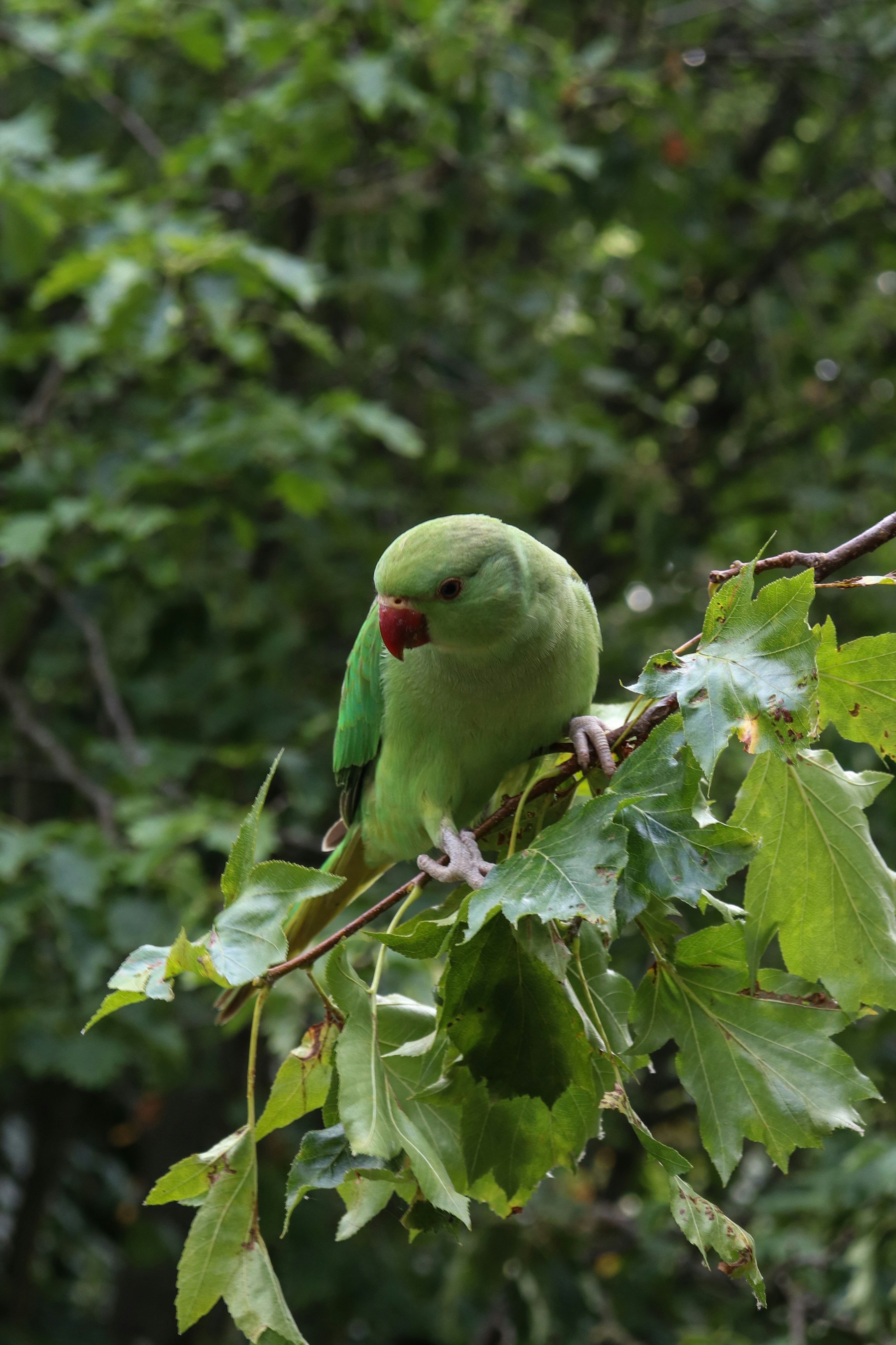 Photo by jagodalalik