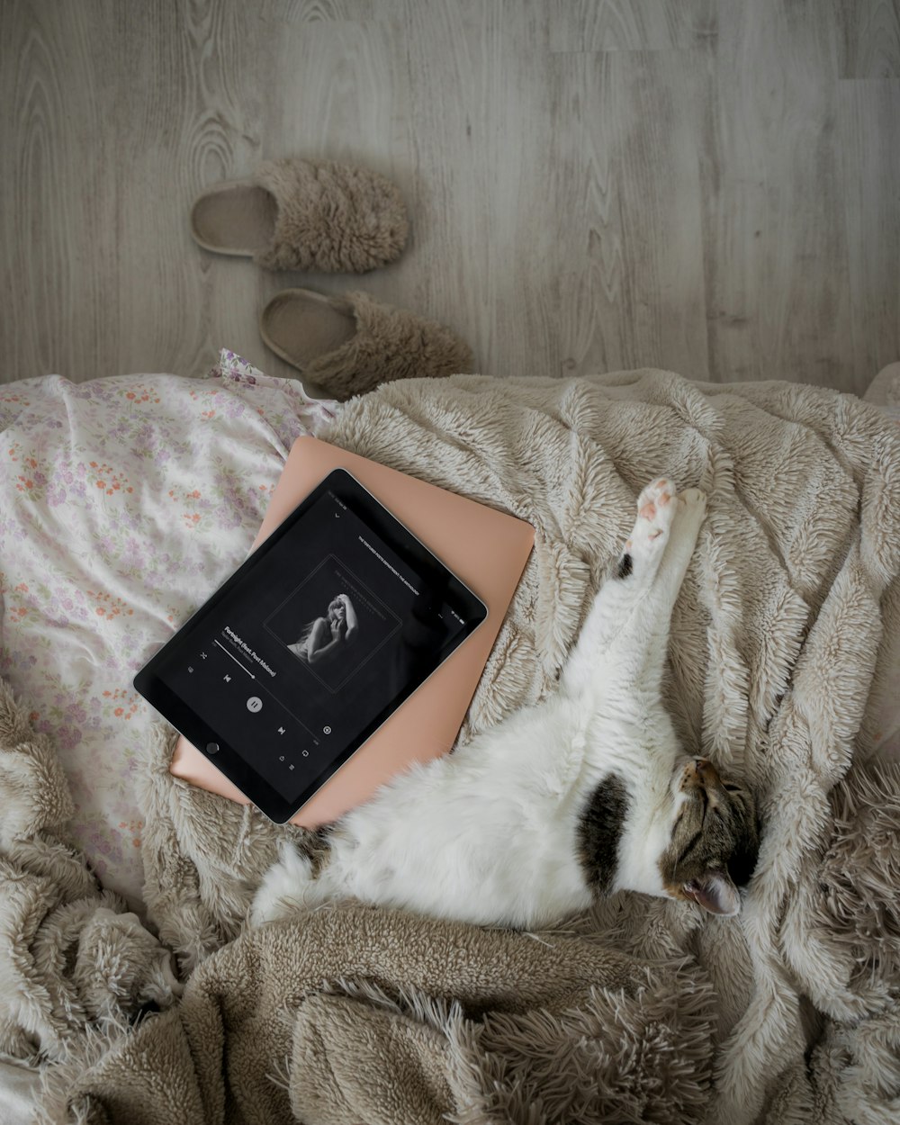 um gato deitado em cima de uma cama ao lado de um livro