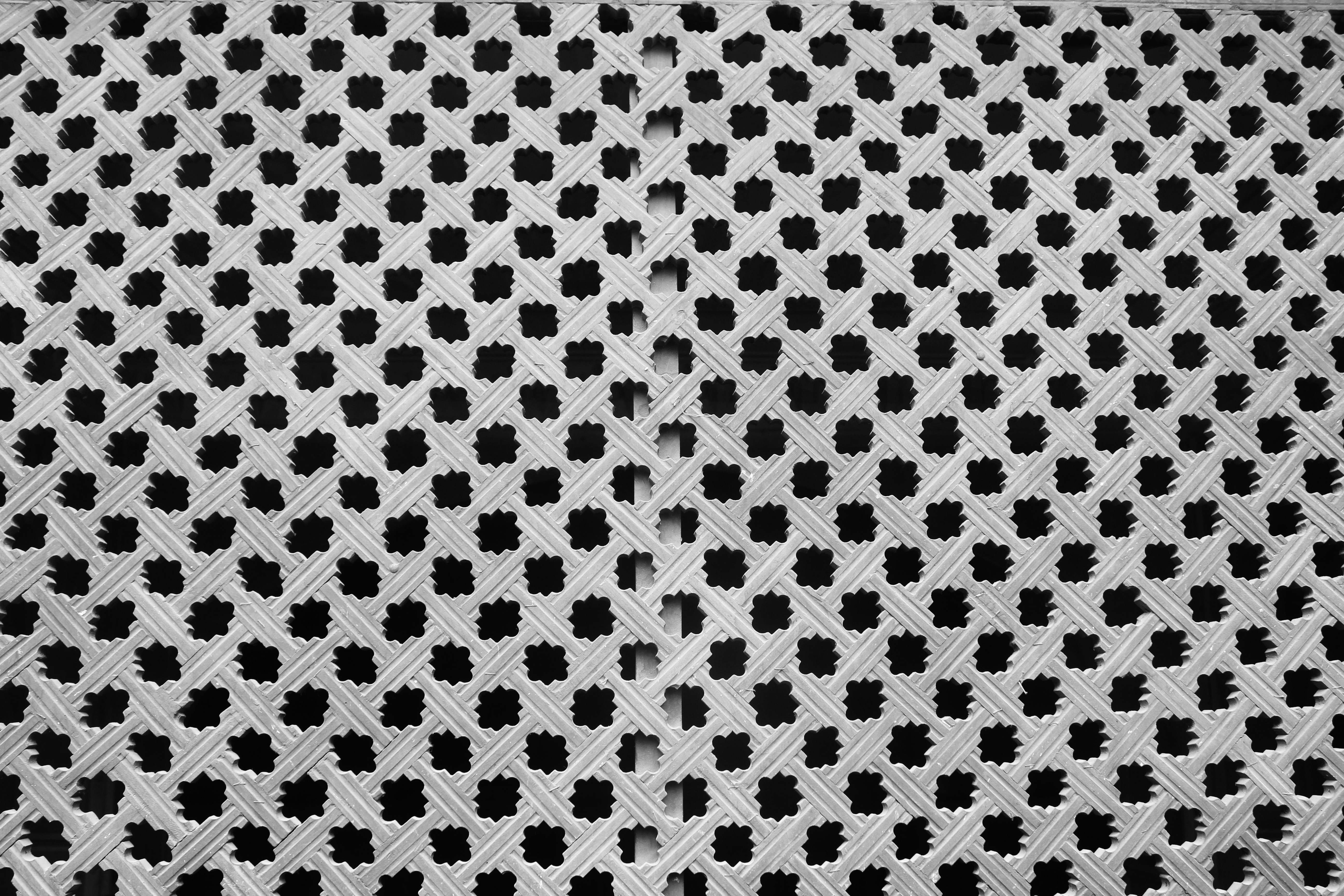 Photo by manavimoghadam