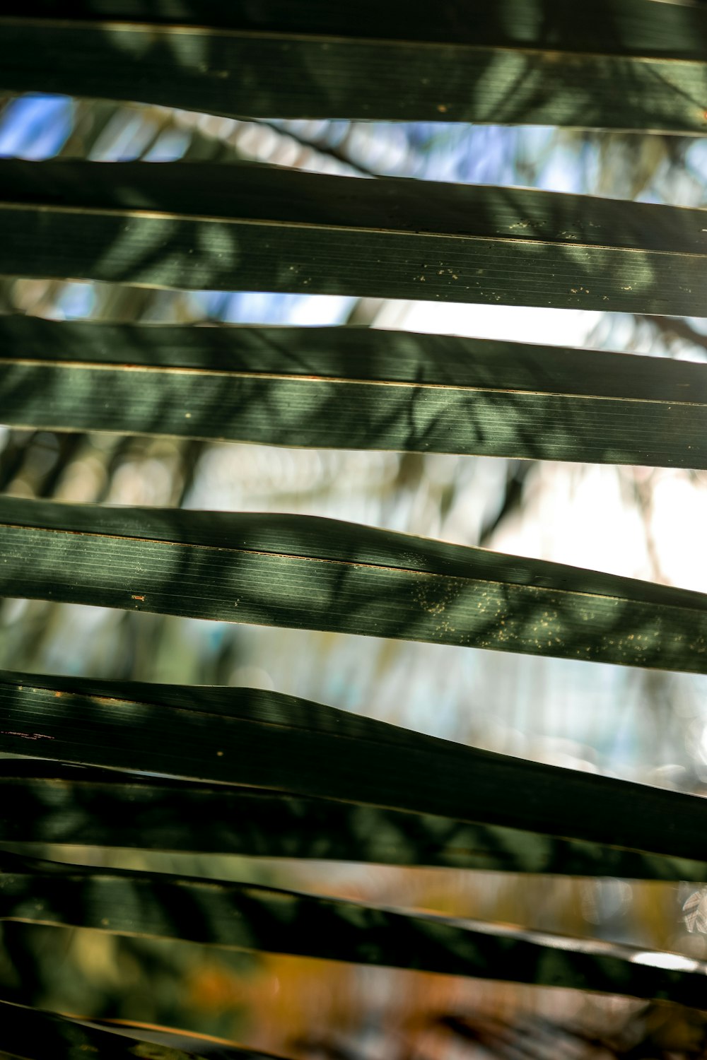 a close up of a window covered in blinds