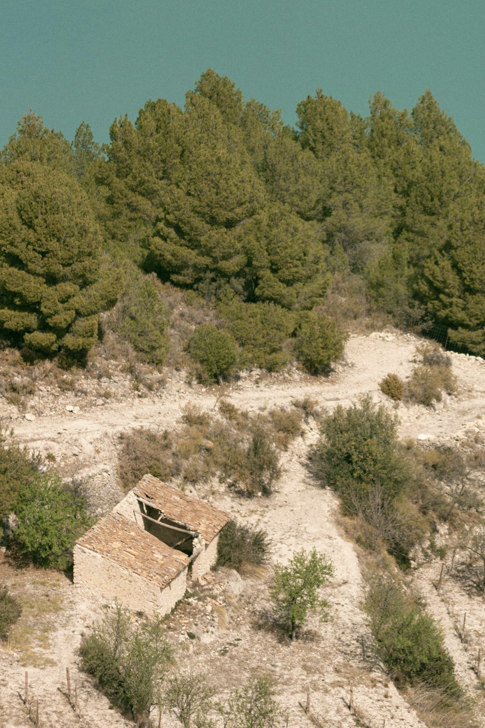 an abandoned building in the middle of a forest