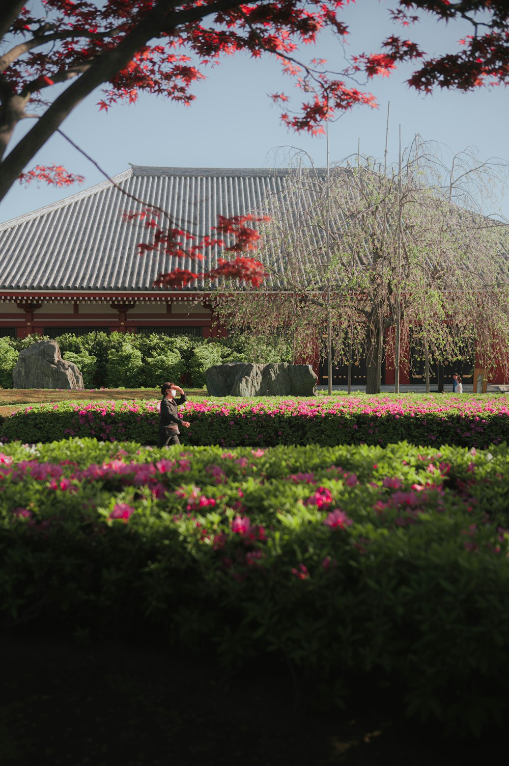 a person is walking through a garden with a building in the background