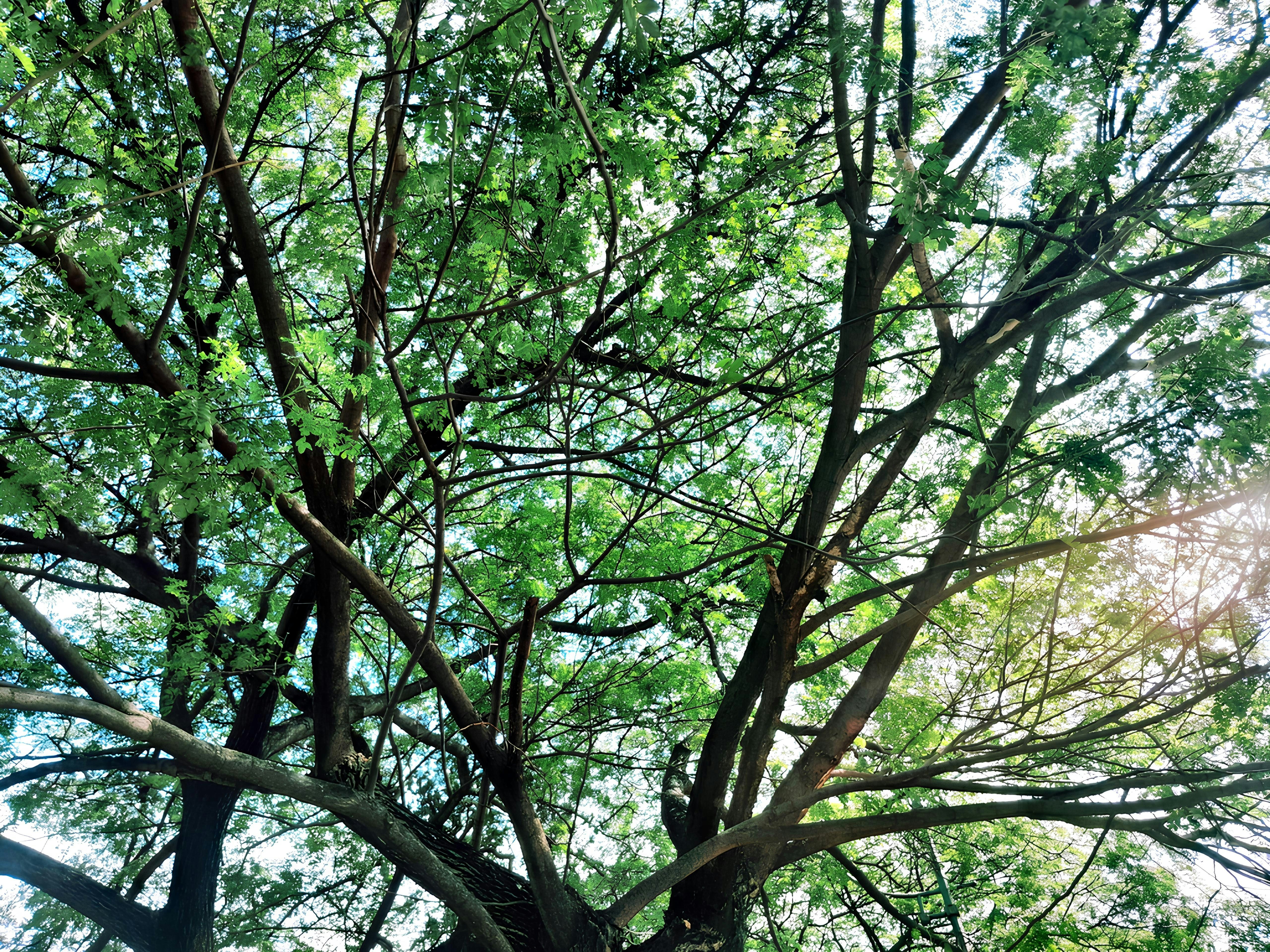 Photo by lana_maulana