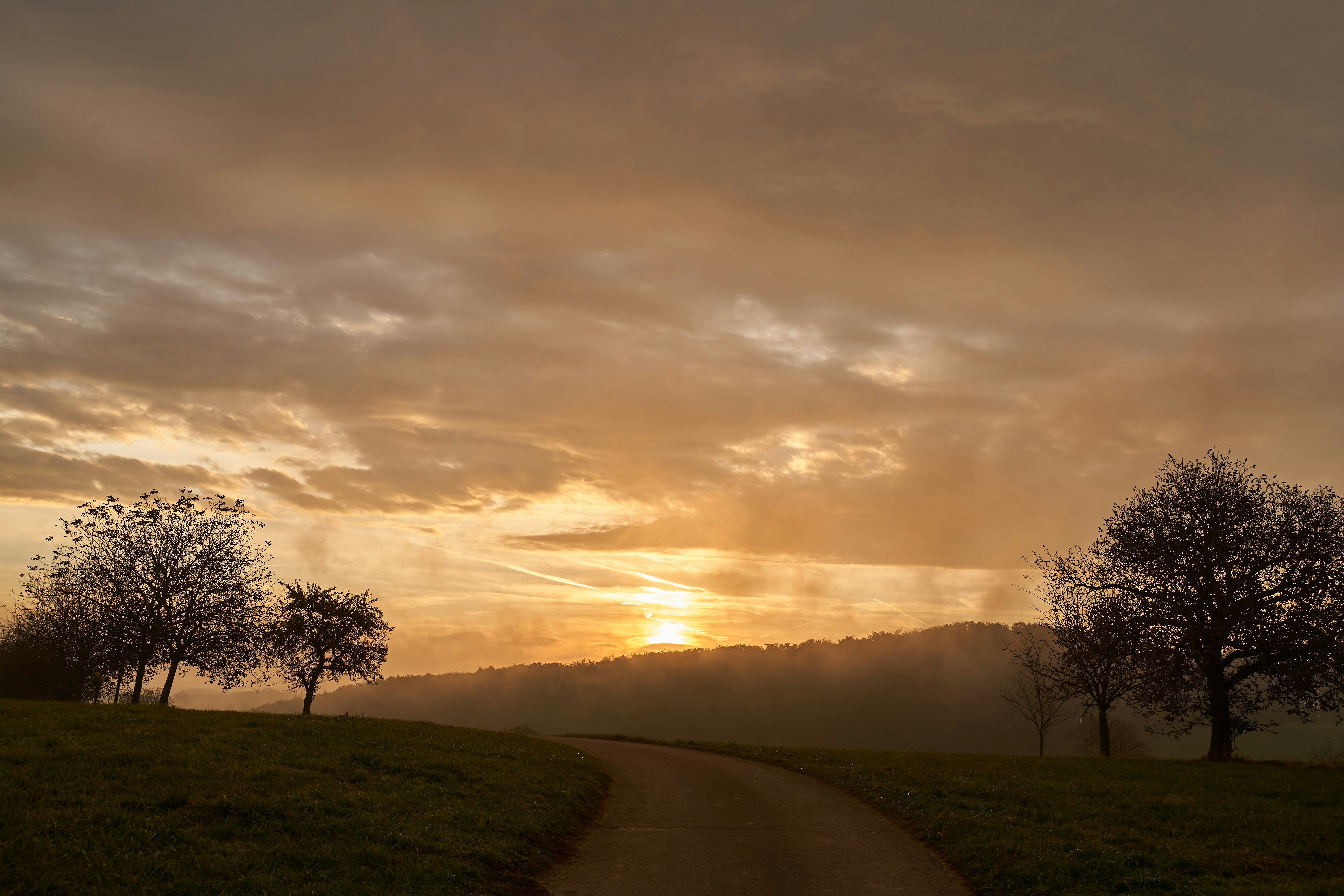 Photo by wolfgang_hasselmann