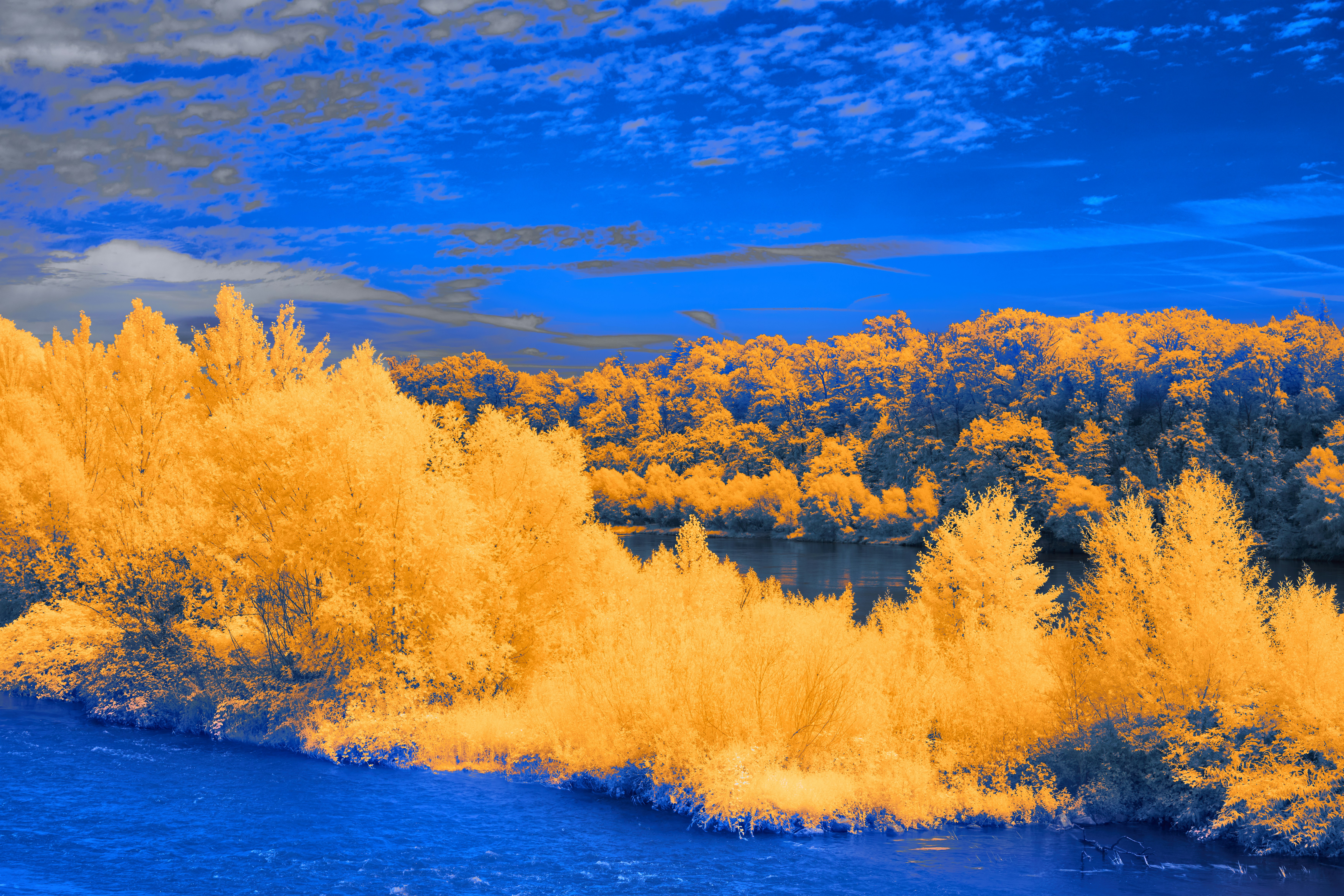 Photo by wolfgang_hasselmann