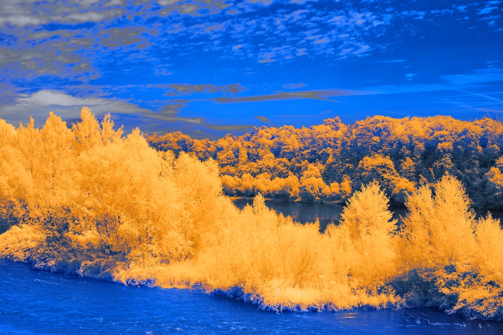 a river surrounded by yellow trees under a blue sky