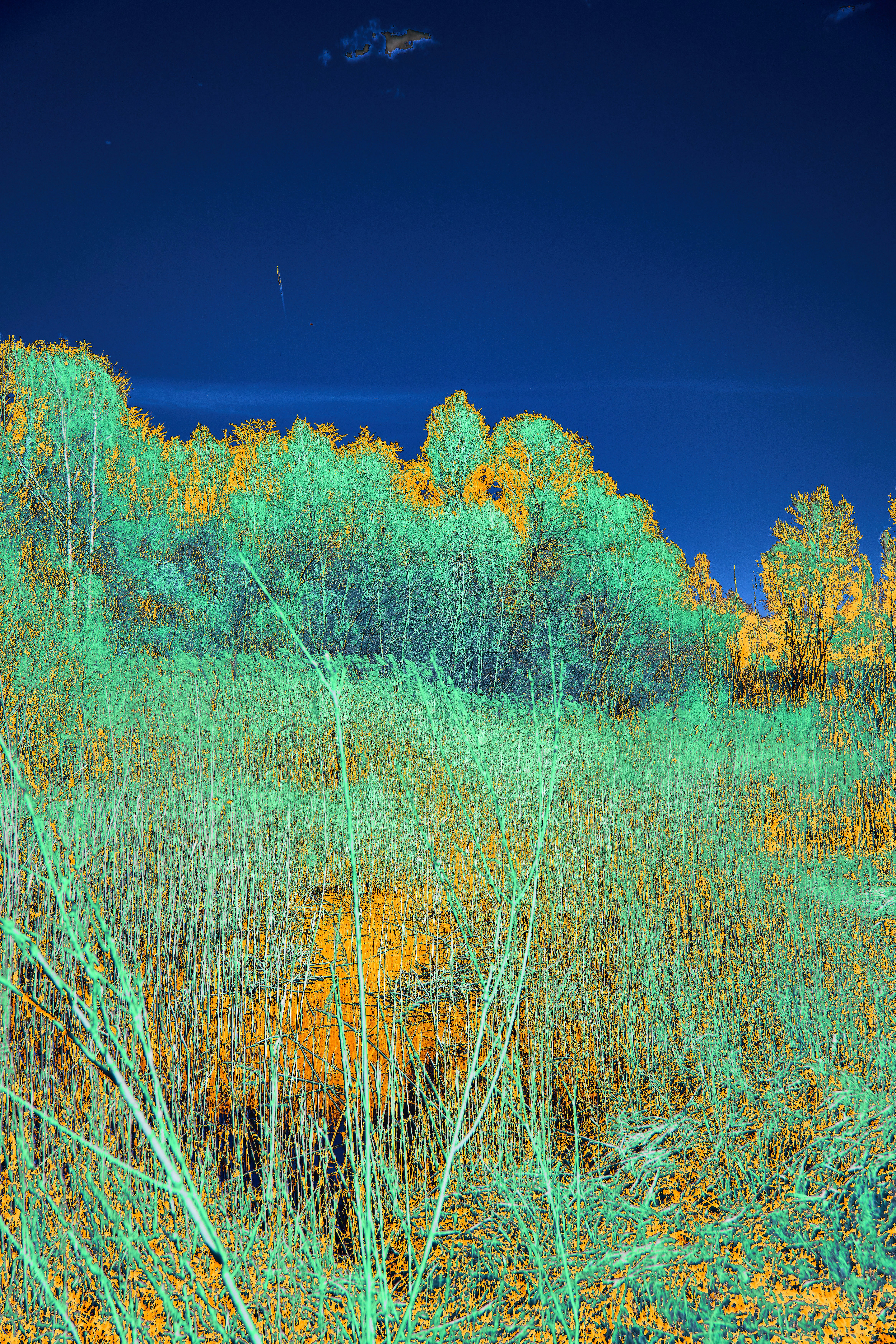 Photo by wolfgang_hasselmann