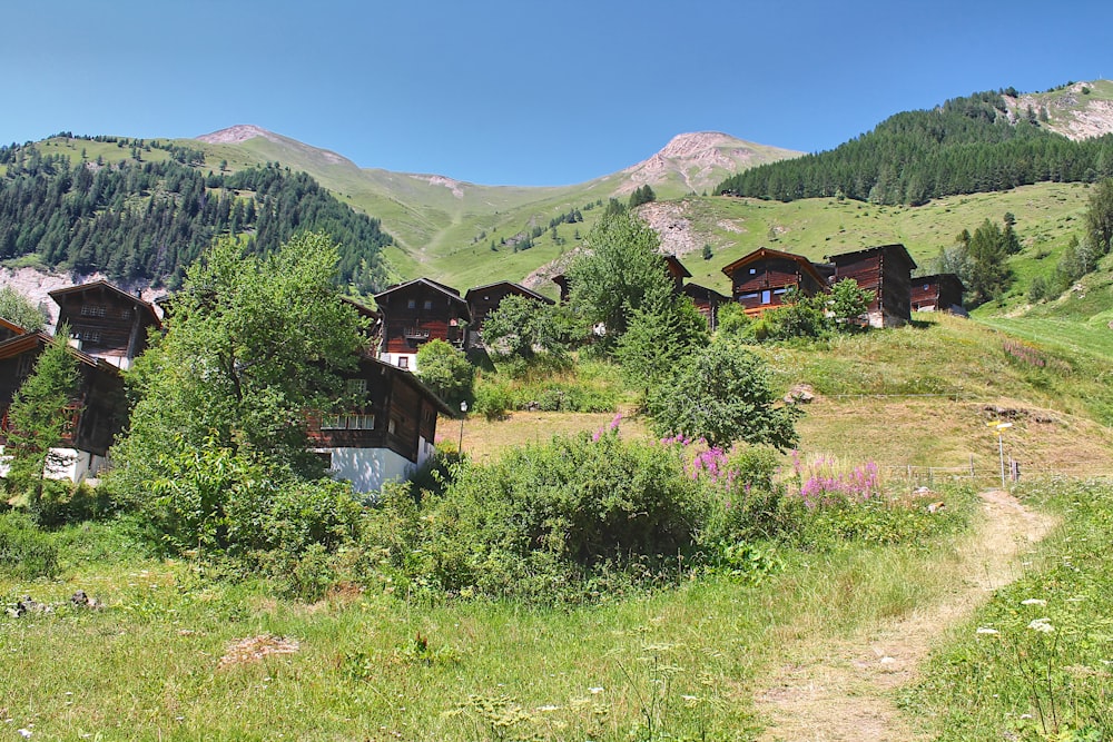 a group of houses in the middle of a field