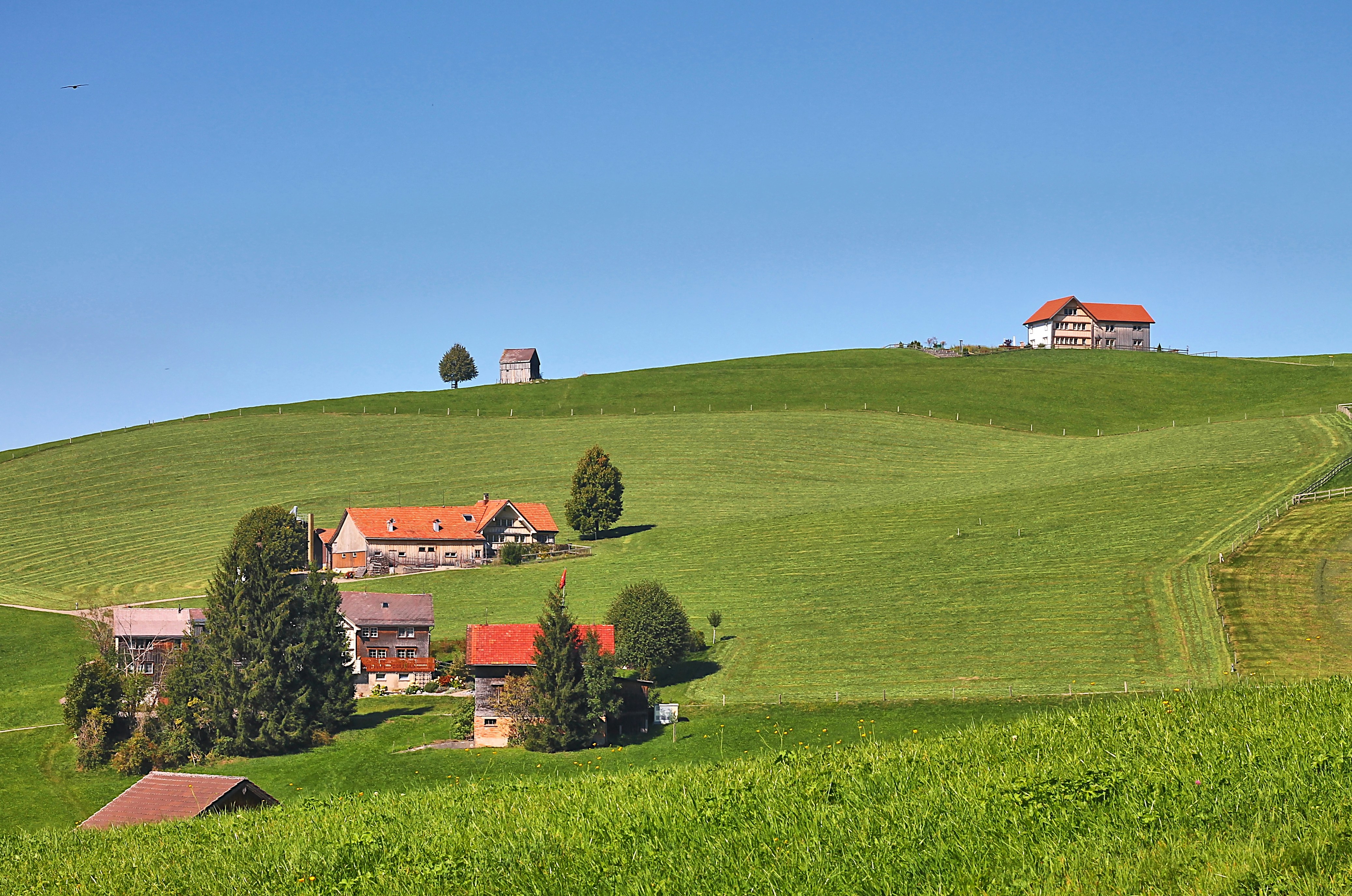 a green hill with houses and trees on it