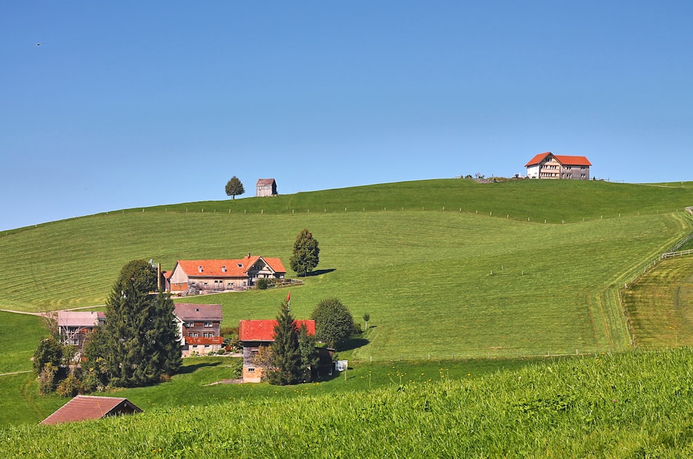 a green hill with houses and trees on it