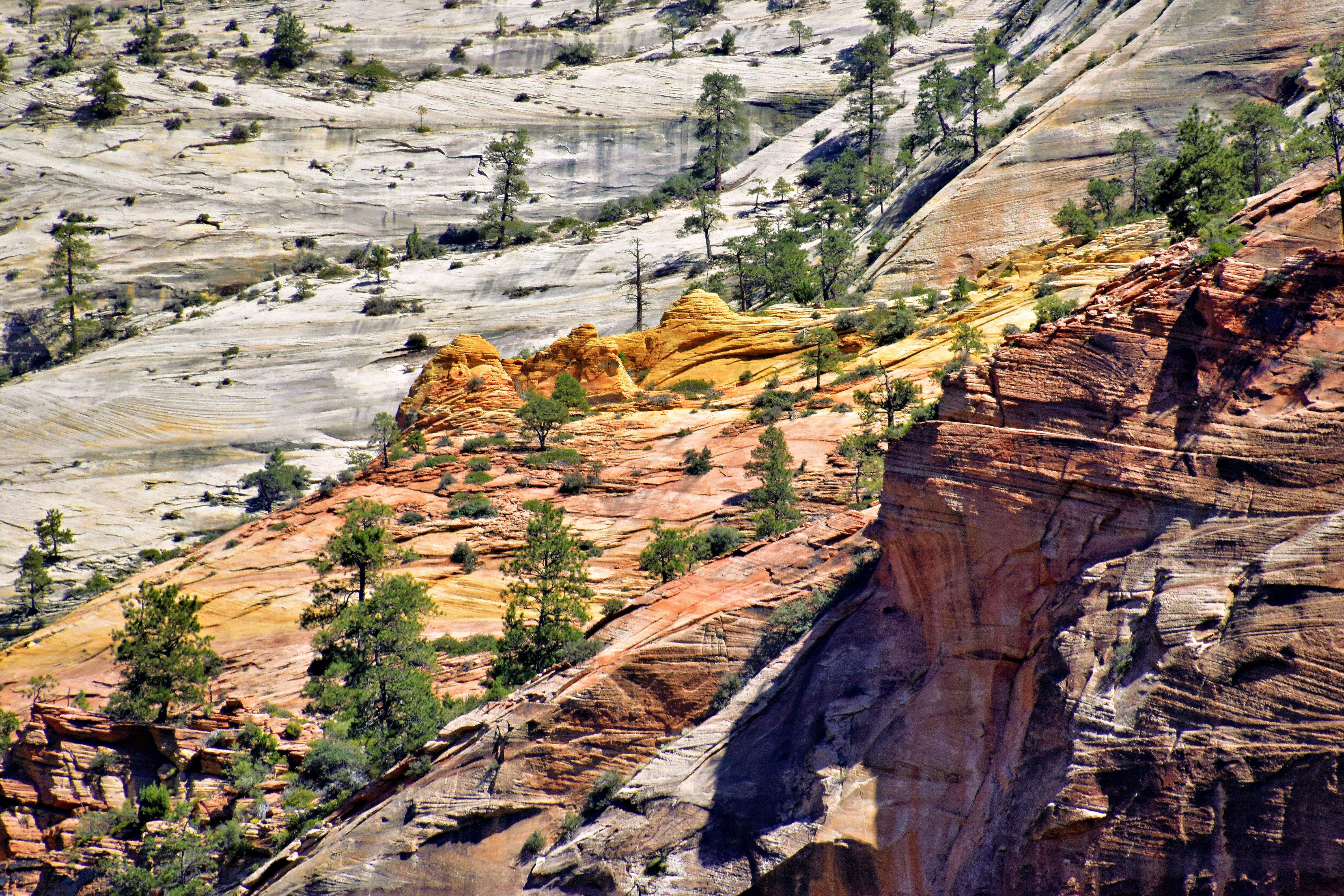 Vue panoramique depuis le sommet du rocher, gros plans sur les épices colorées, portraits des artisans en action.