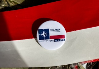 Poki prawo jadzys logo