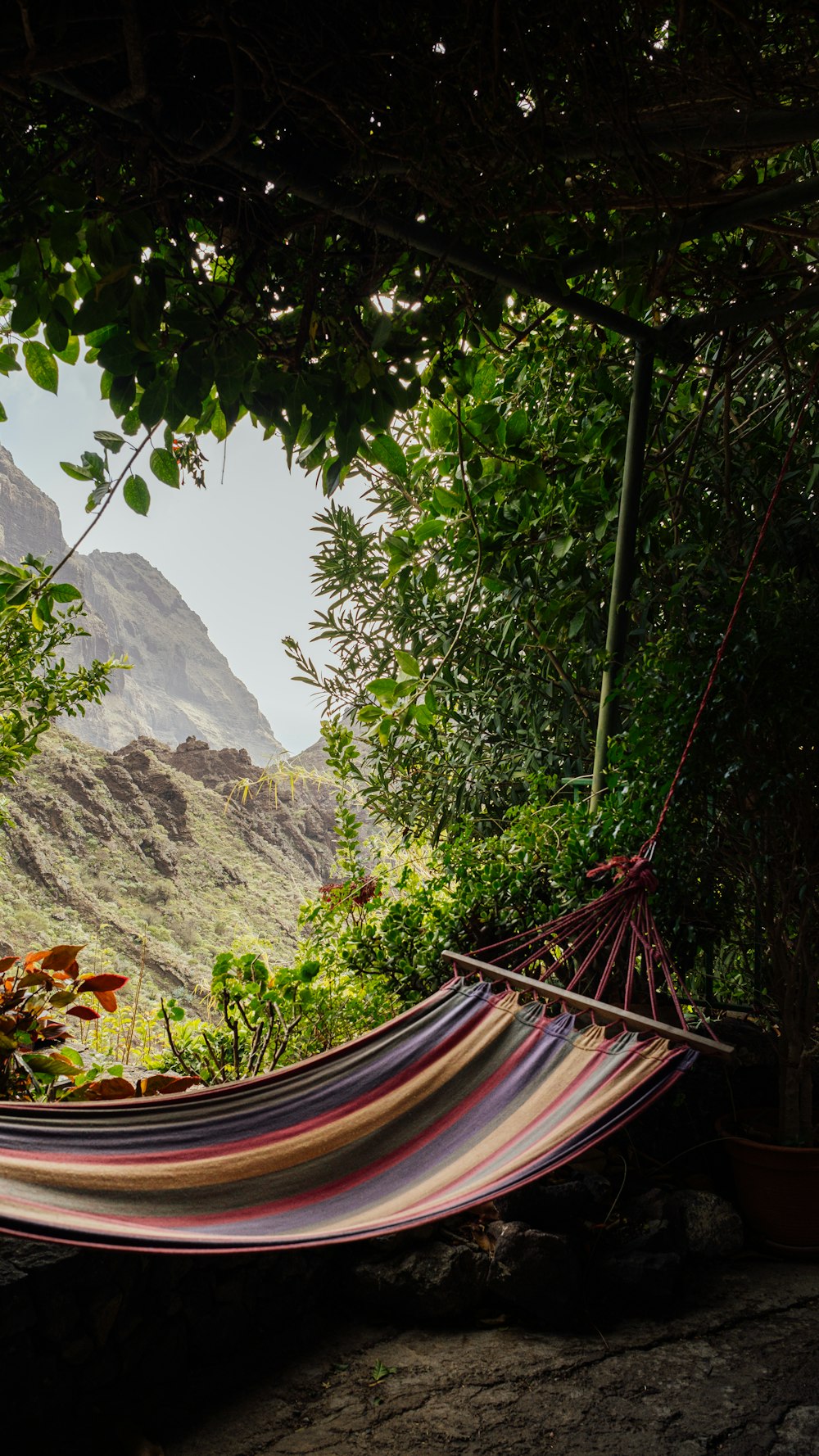 a hammock in the shade of a tree with mountains in the background