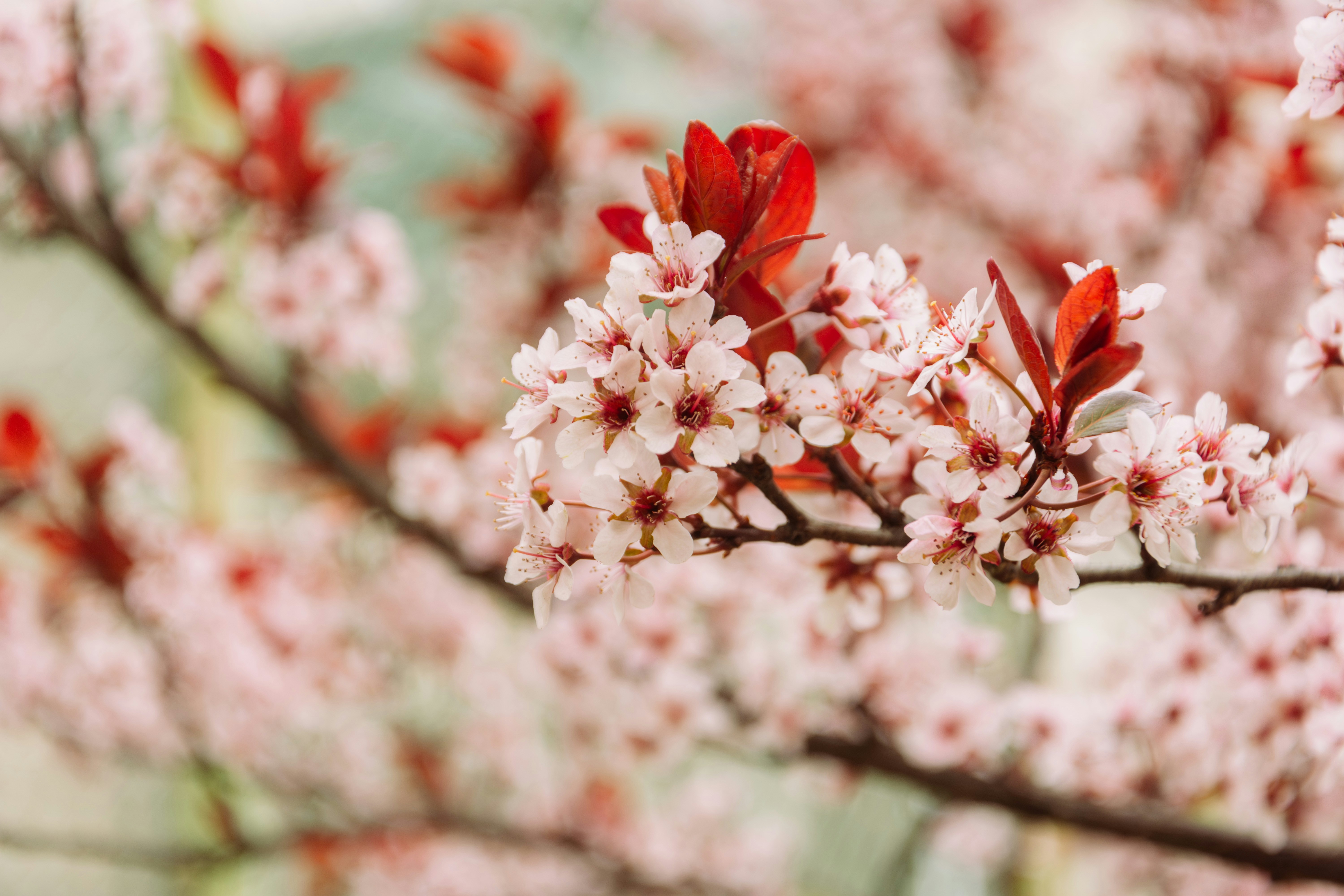 Photo by skzhao