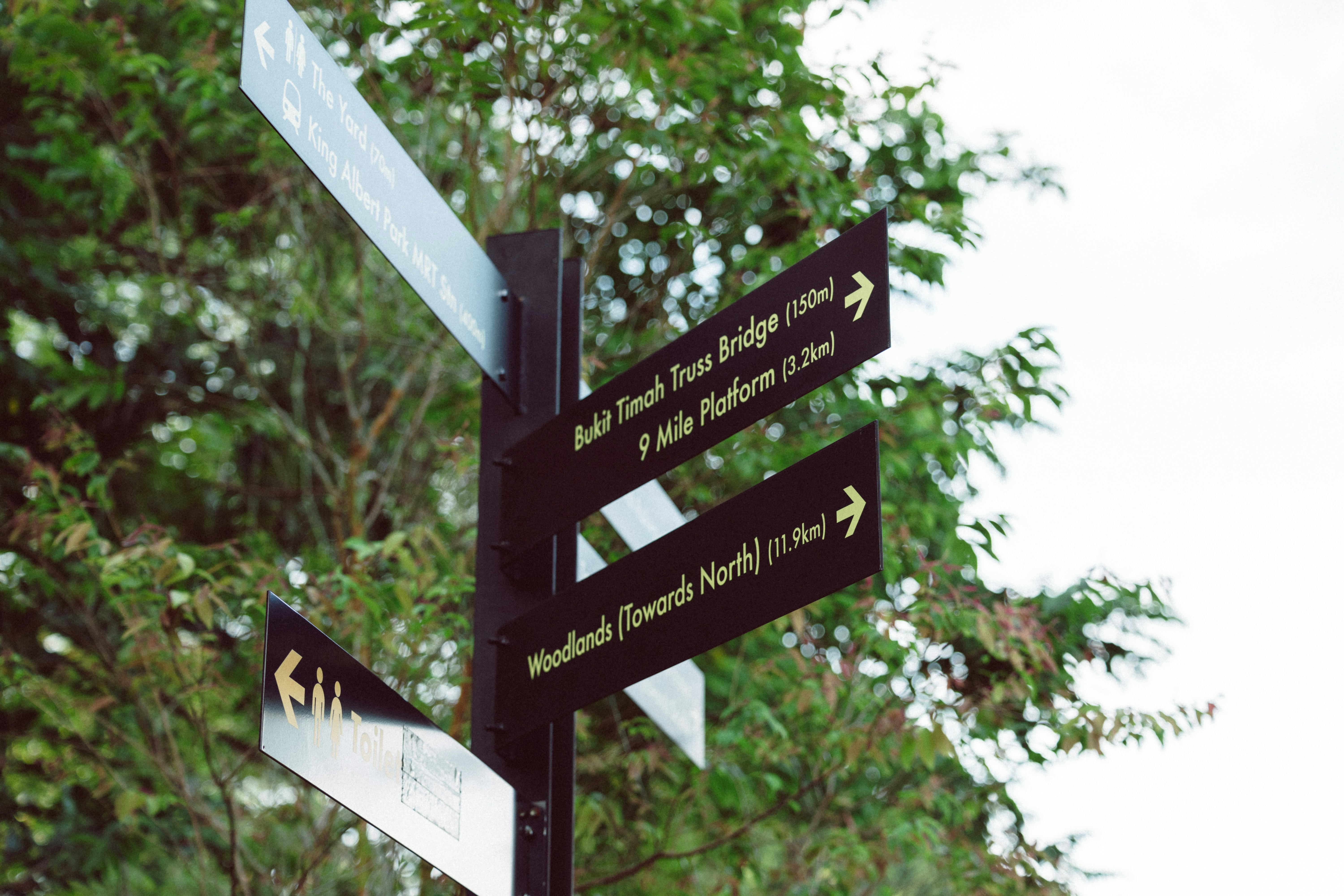 Photo by jaydraws2019