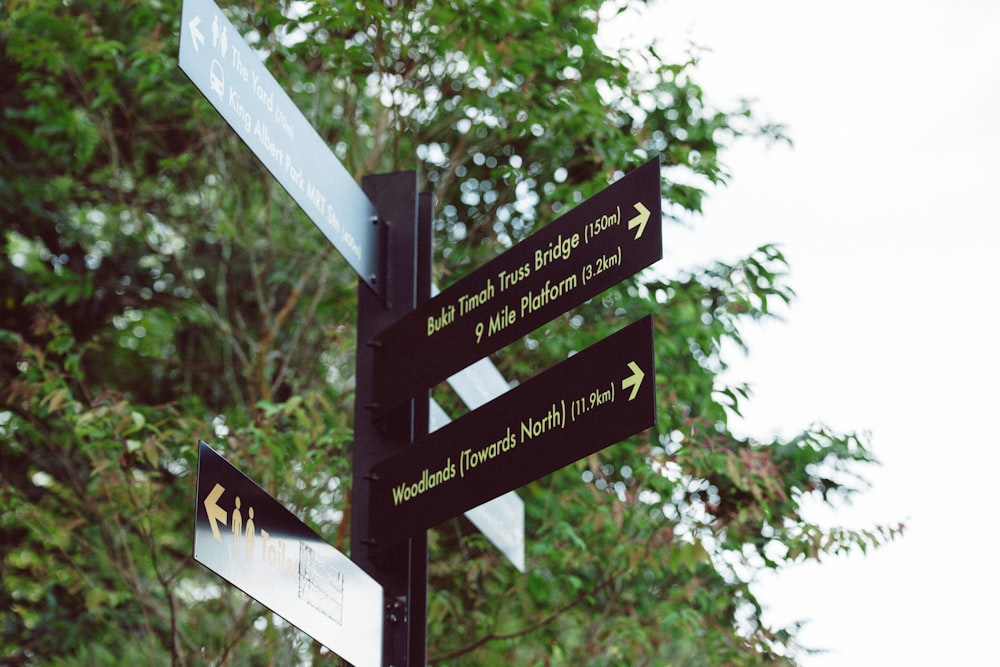 a pole with several signs on it in front of a tree