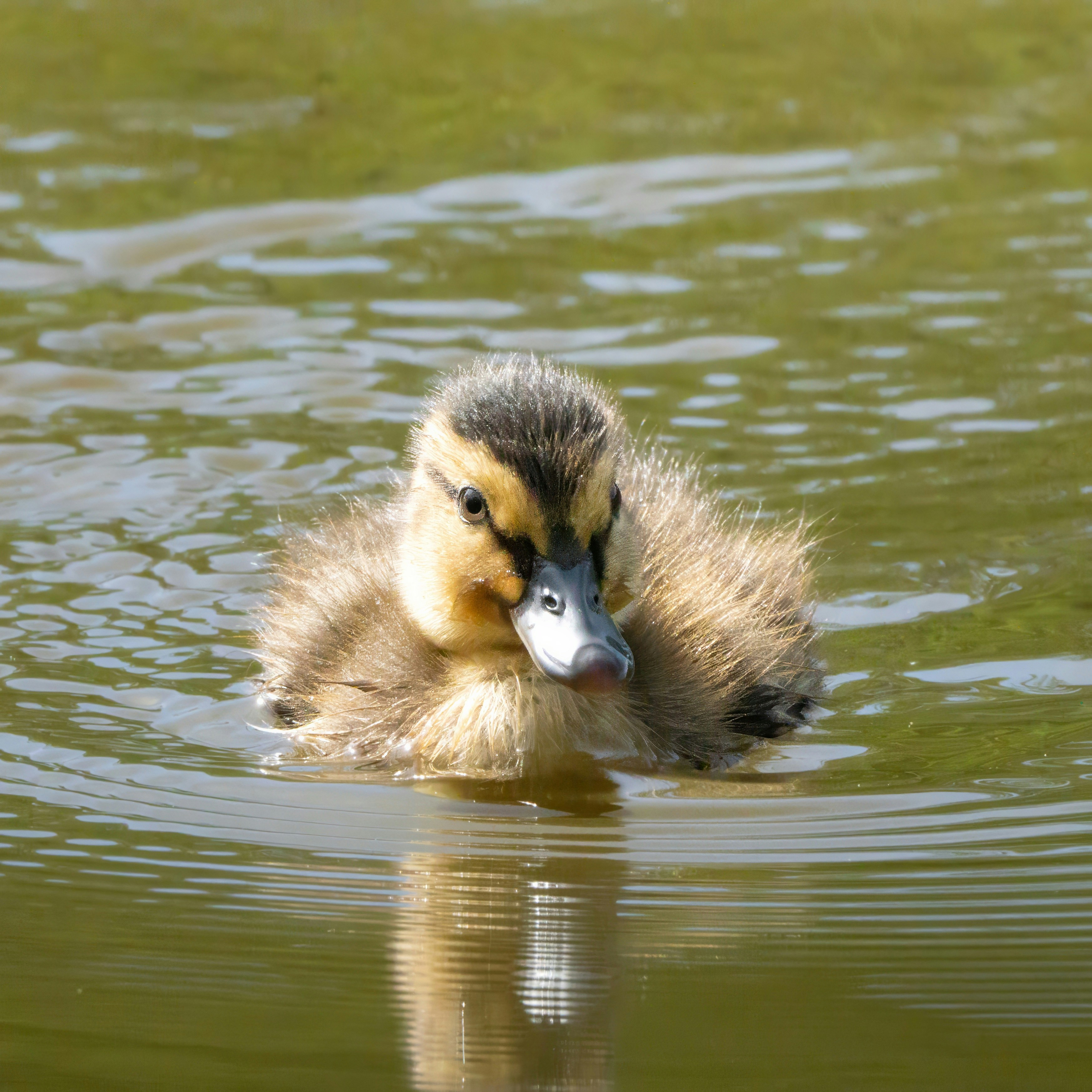 Photo by ronan_hello