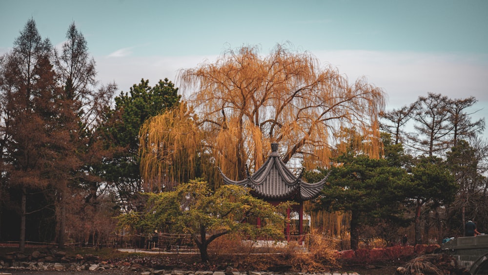 a pagoda in the middle of a lake surrounded by trees