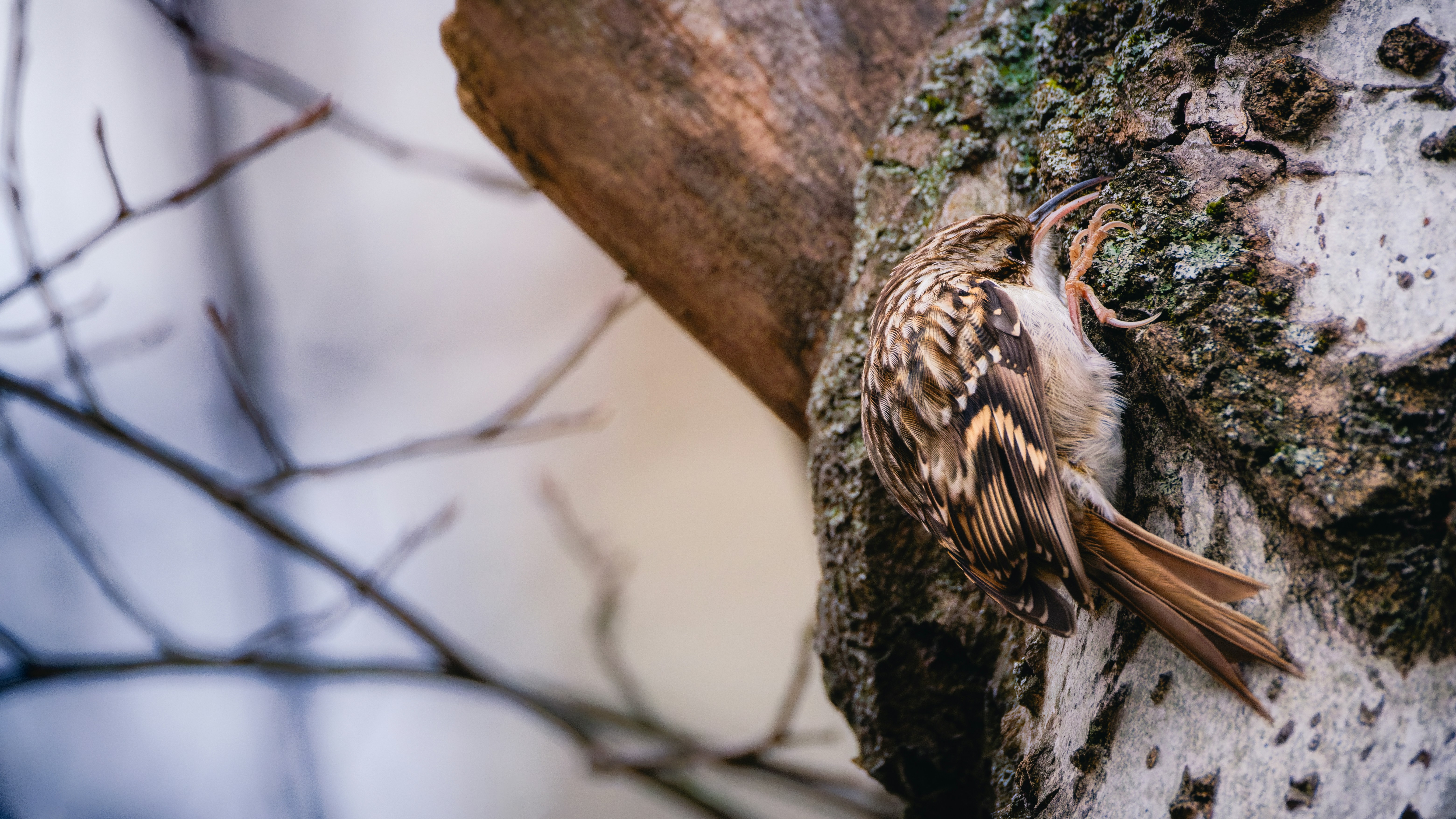 Photo by rucksackrebellen