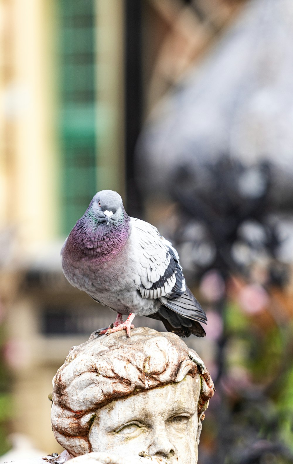 Un oiseau est perché au sommet d’une statue