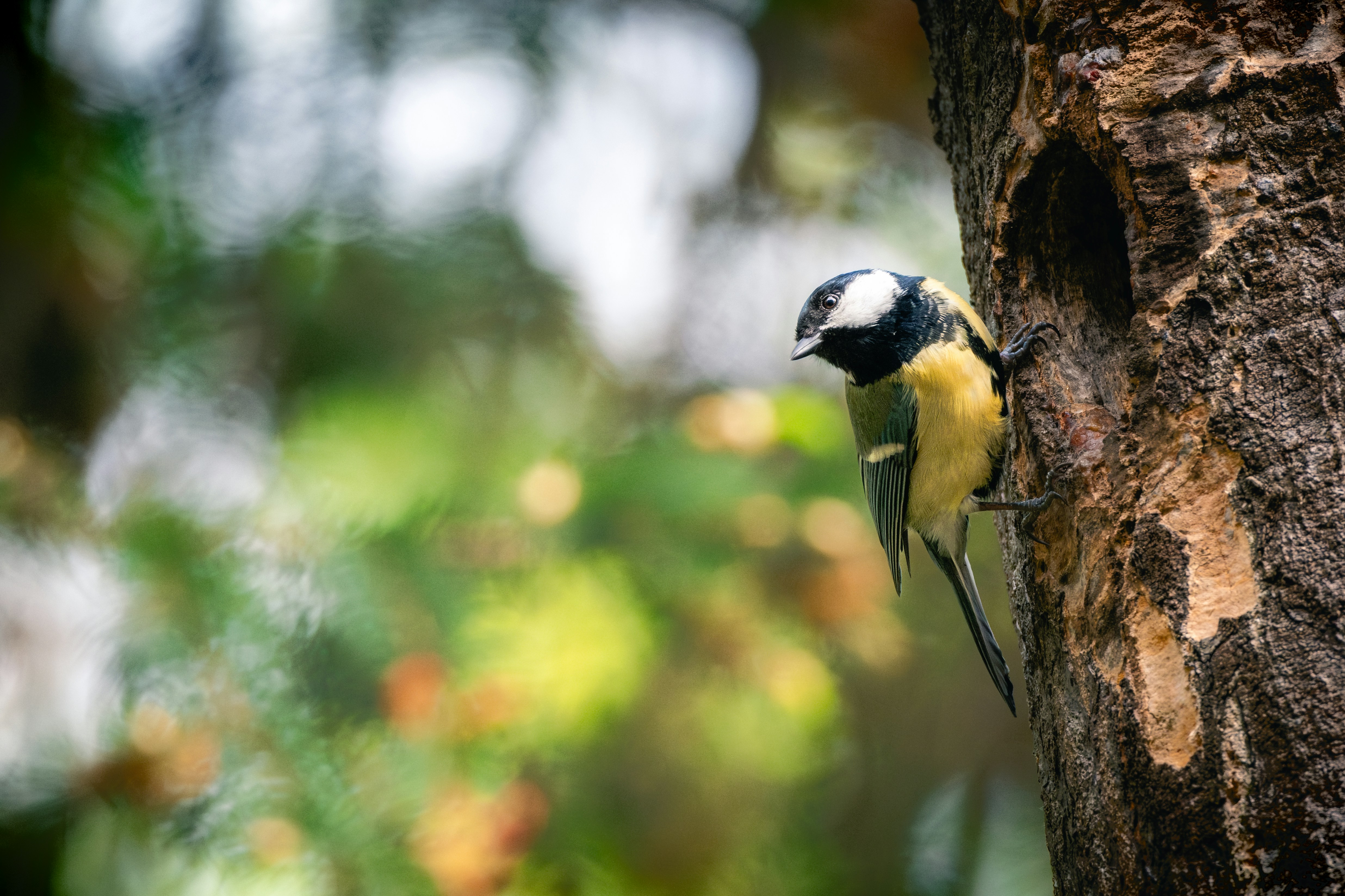 Photo by rucksackrebellen