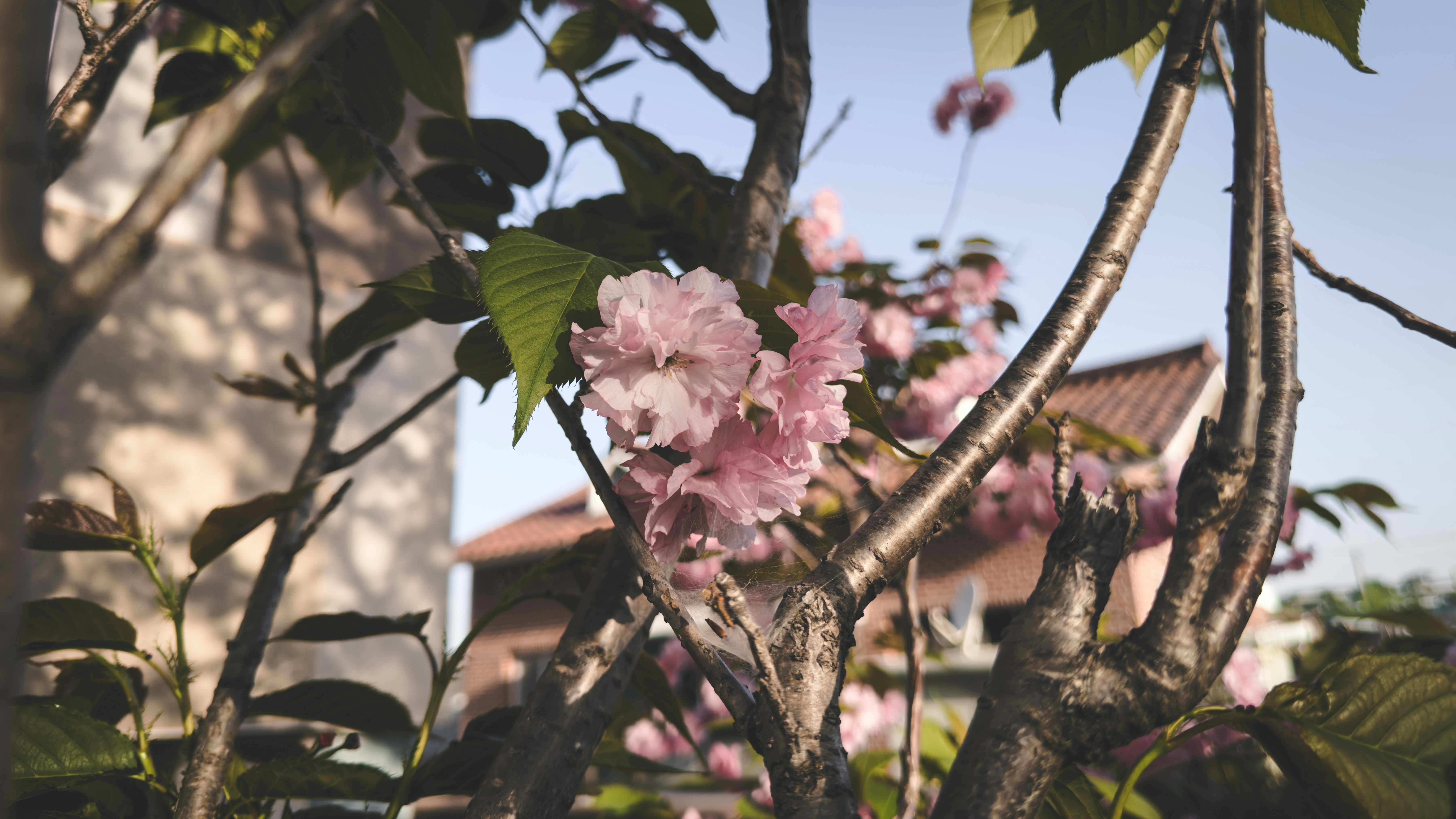 Photo by yeon01050508