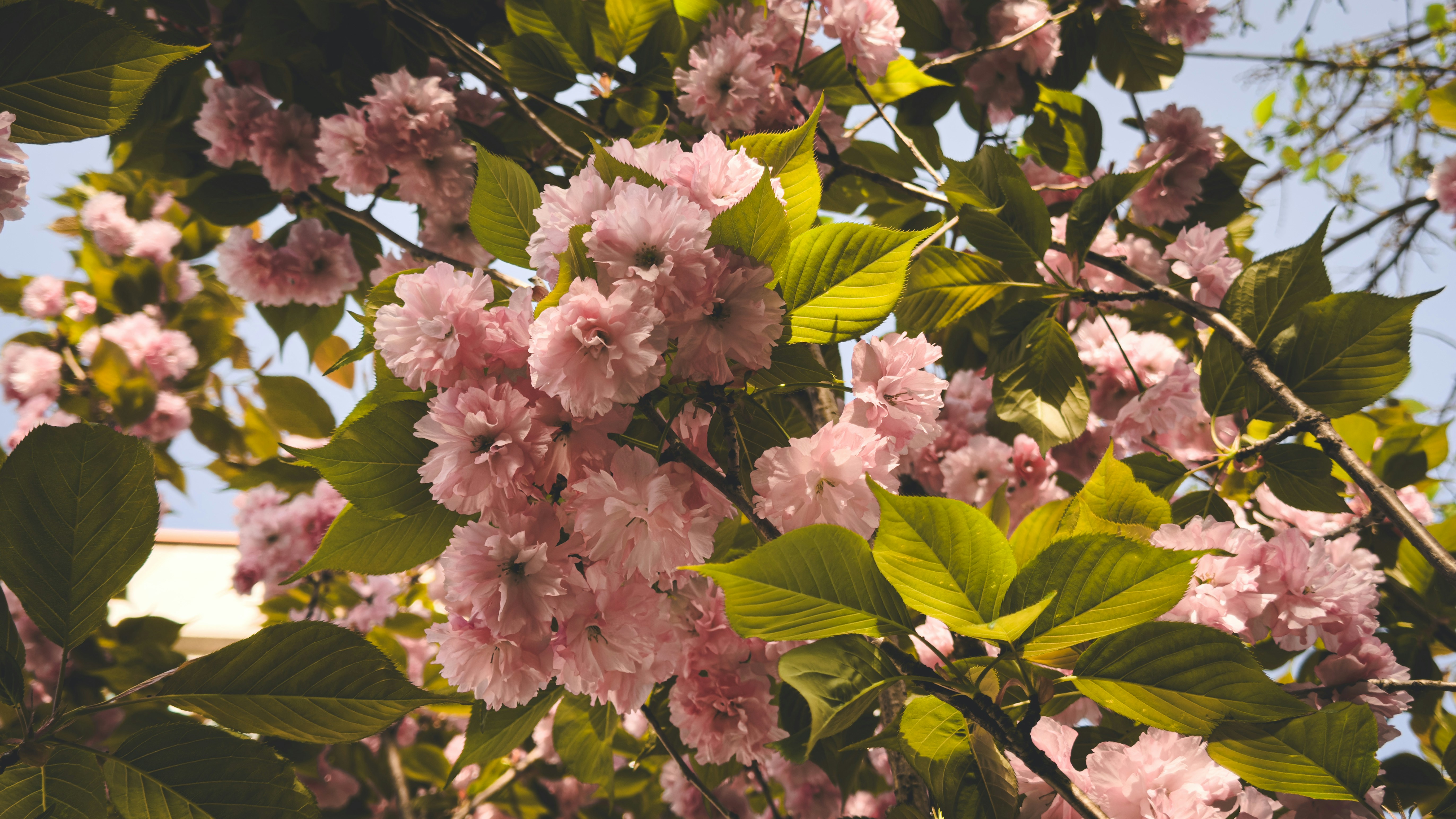 Photo by yeon01050508