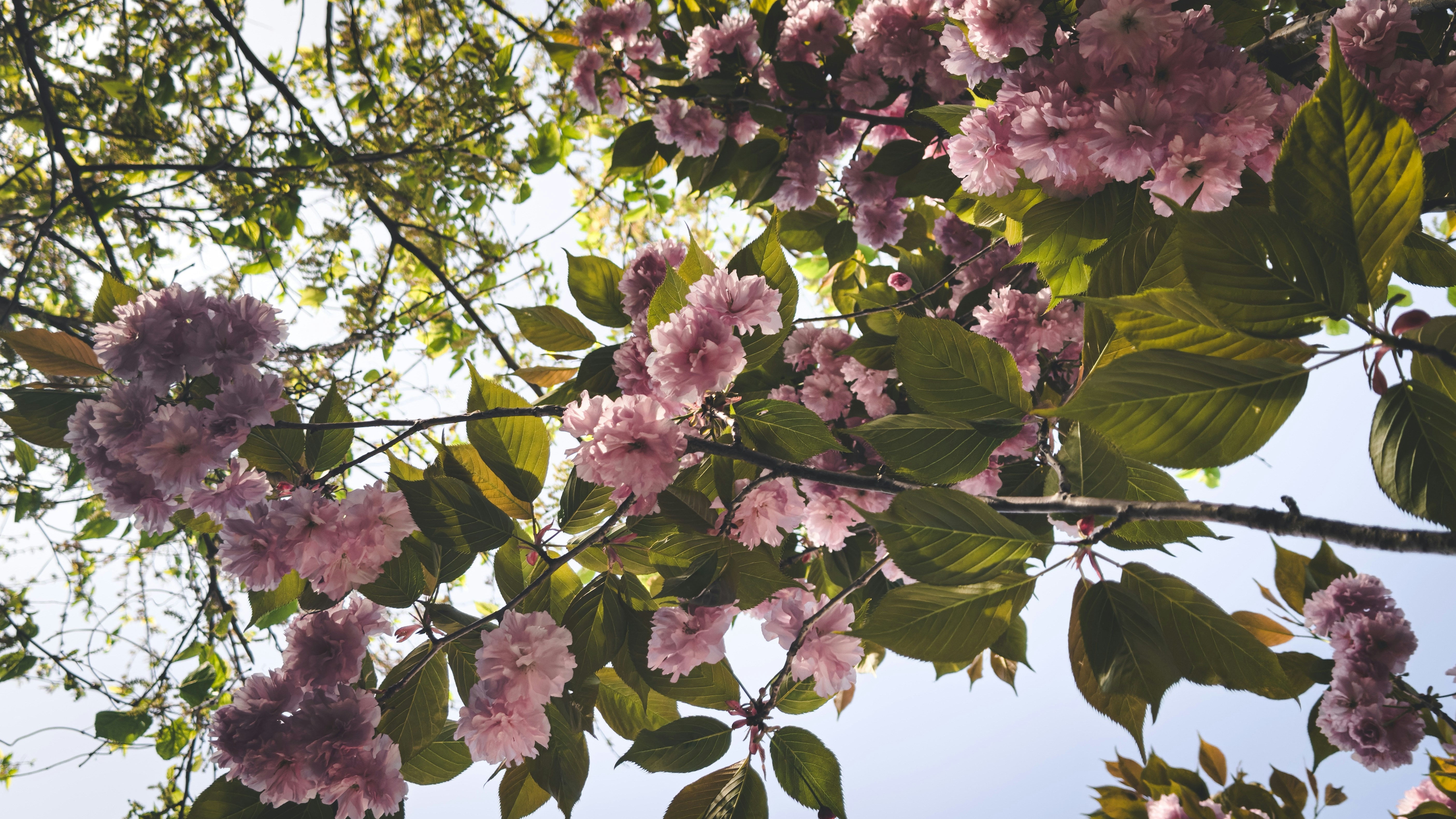 Photo by yeon01050508