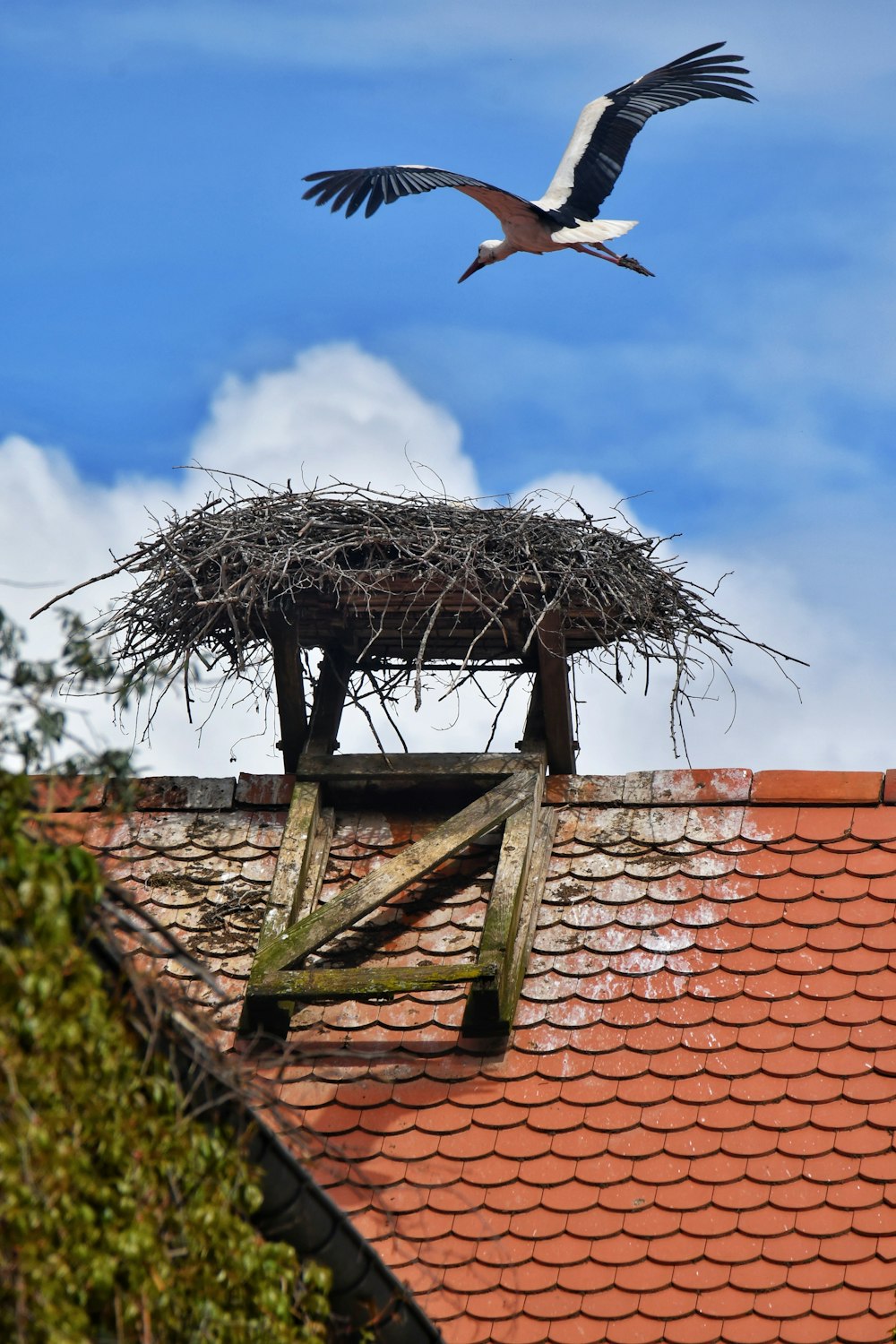 屋根の上の巣の上を飛ぶ鳥