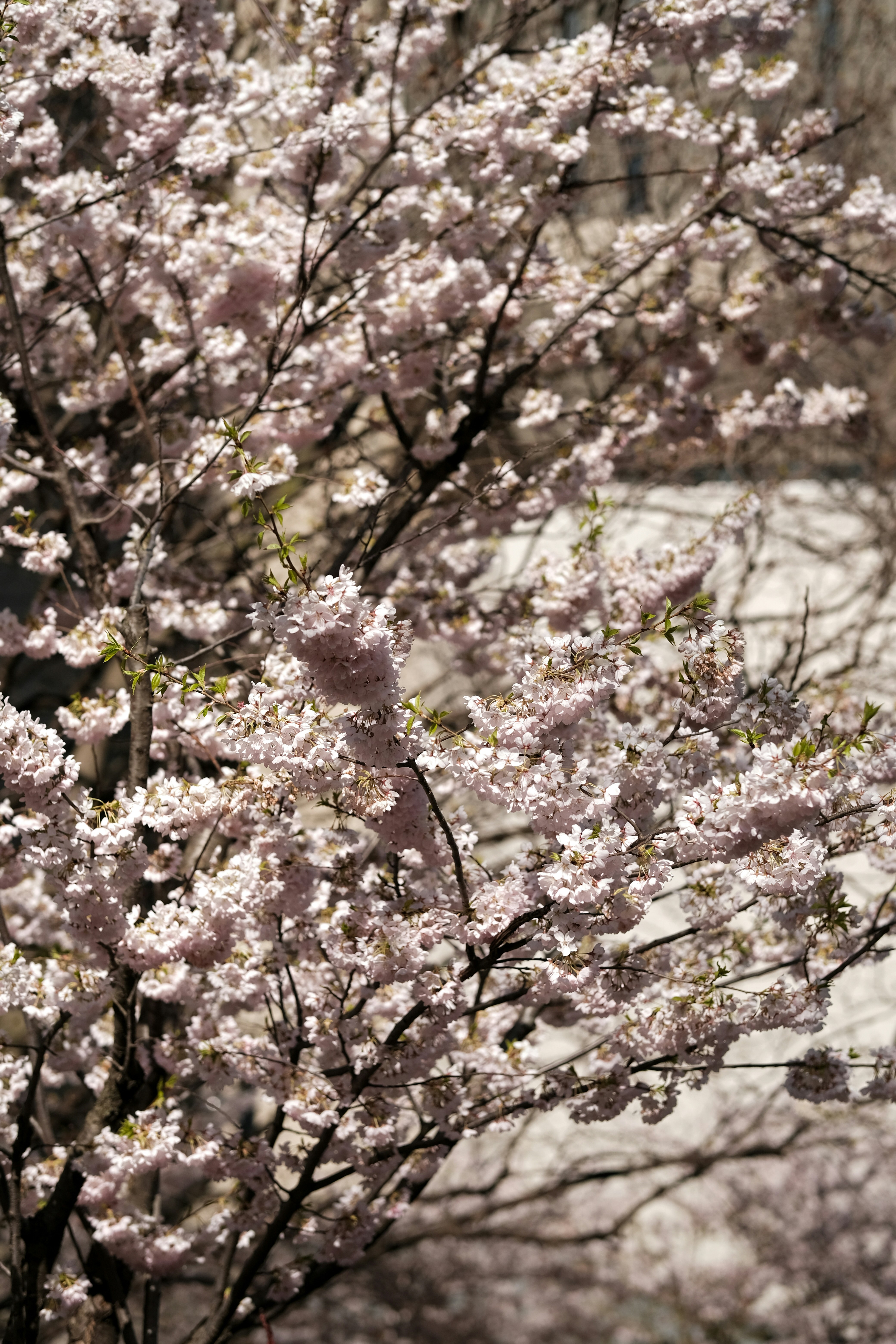 Photo by singhramneek54