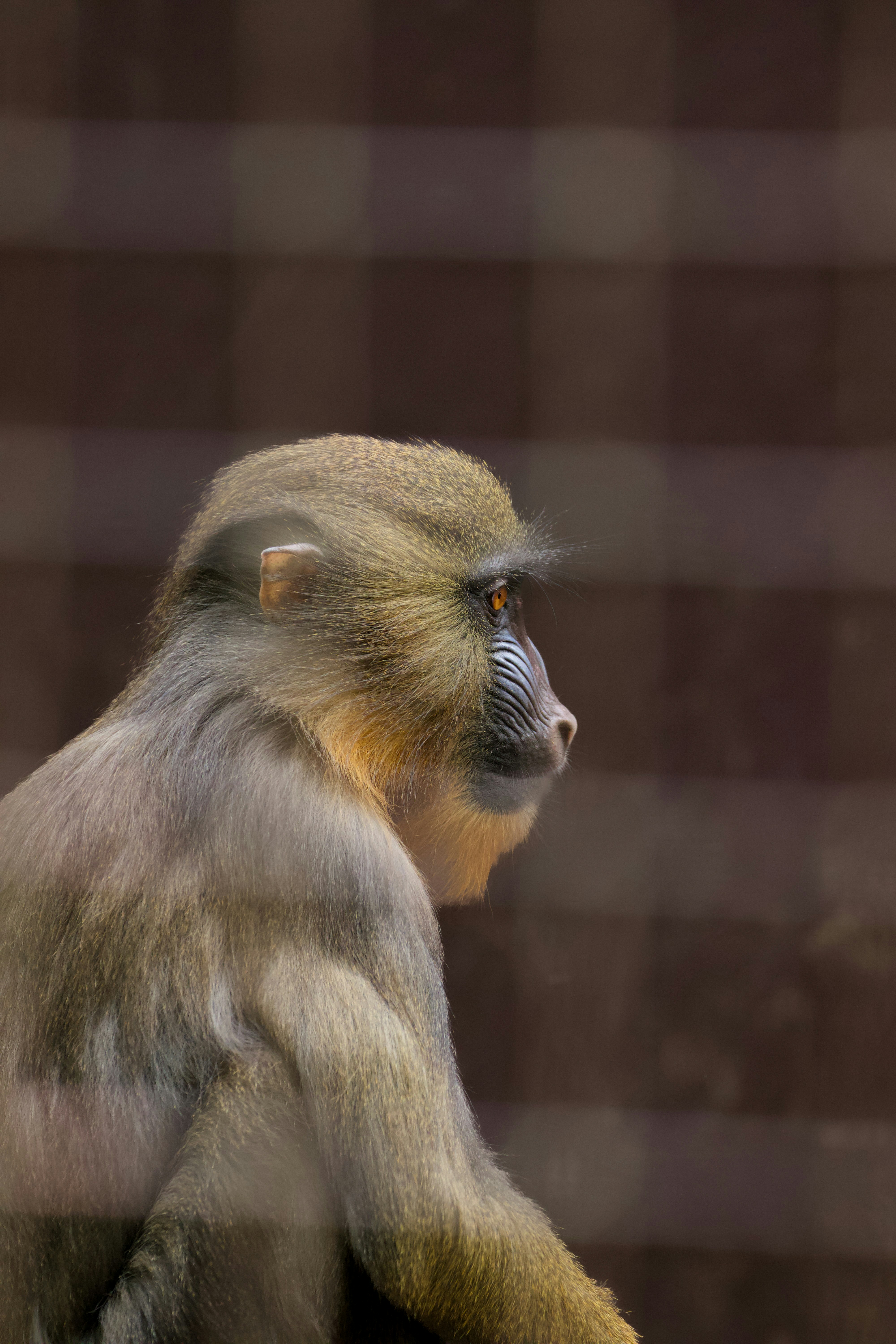 Photo by jakub_neskora