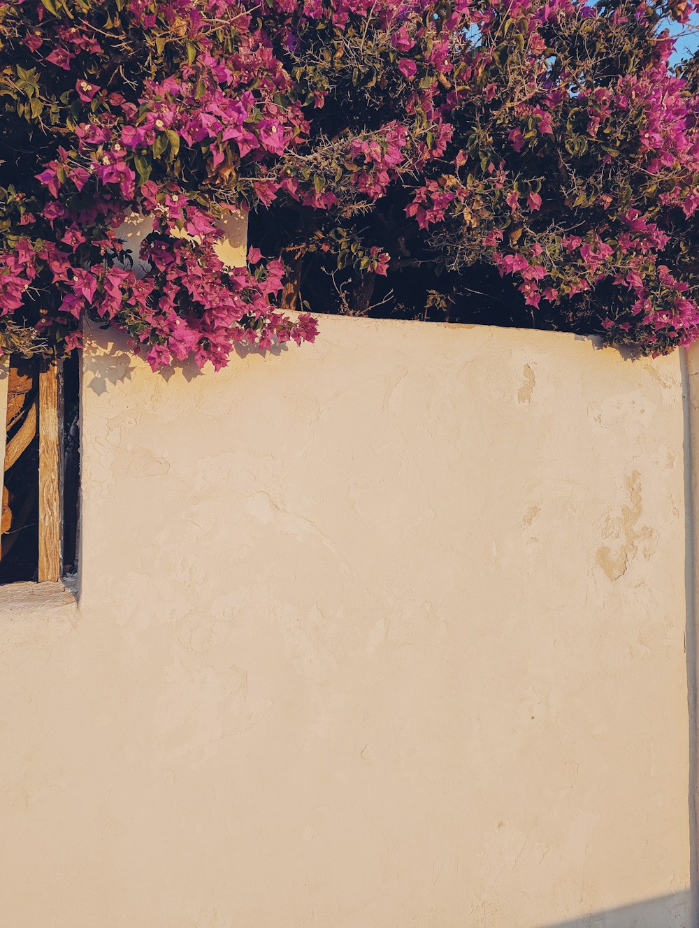 a white wall with purple flowers on it