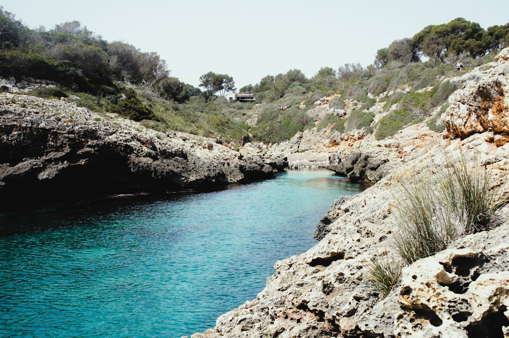 a body of water surrounded by rocks and trees