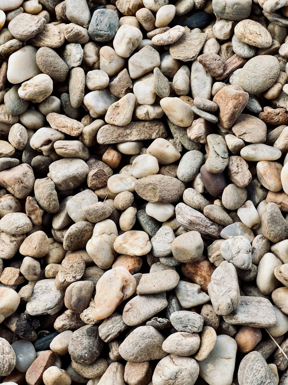 a bunch of rocks that are on the ground